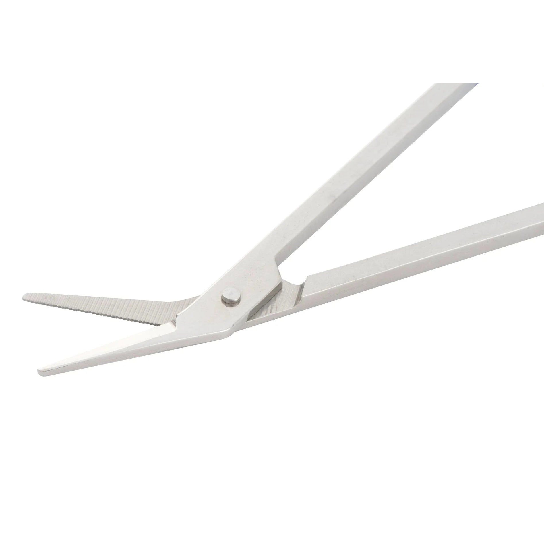 Nahaufnahme der Spitze einer Fußnagelzange. Metallklingen, scharfe Spitze. Gelenk und Klingen im Detail.