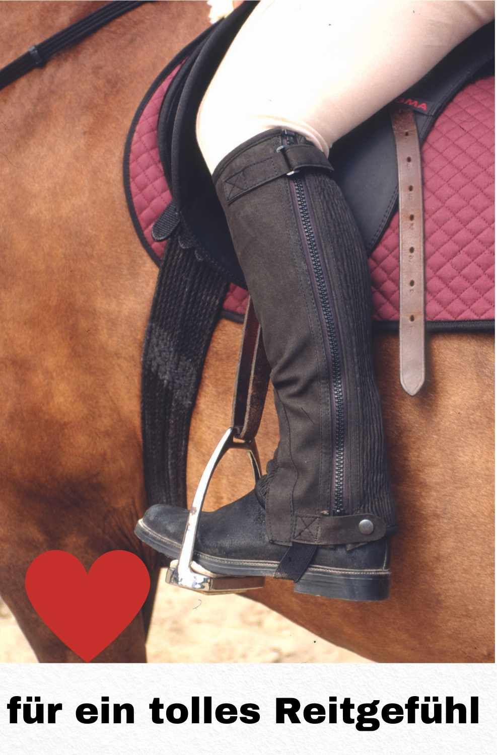 Person mit schwarzen Reitchaps und Stiefeln auf einem Pferd. Reitchaps mit Reißverschluss und Schnallen.