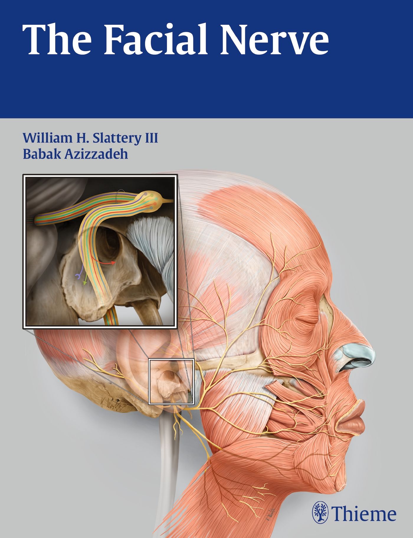 Buchcover: "The Facial Nerve". Autoren: William H. Slattery III, Babak Azizzadeh. Illustration des Gesichtsnervs und der Gesichtsmuskulatur. Thieme-Logo.