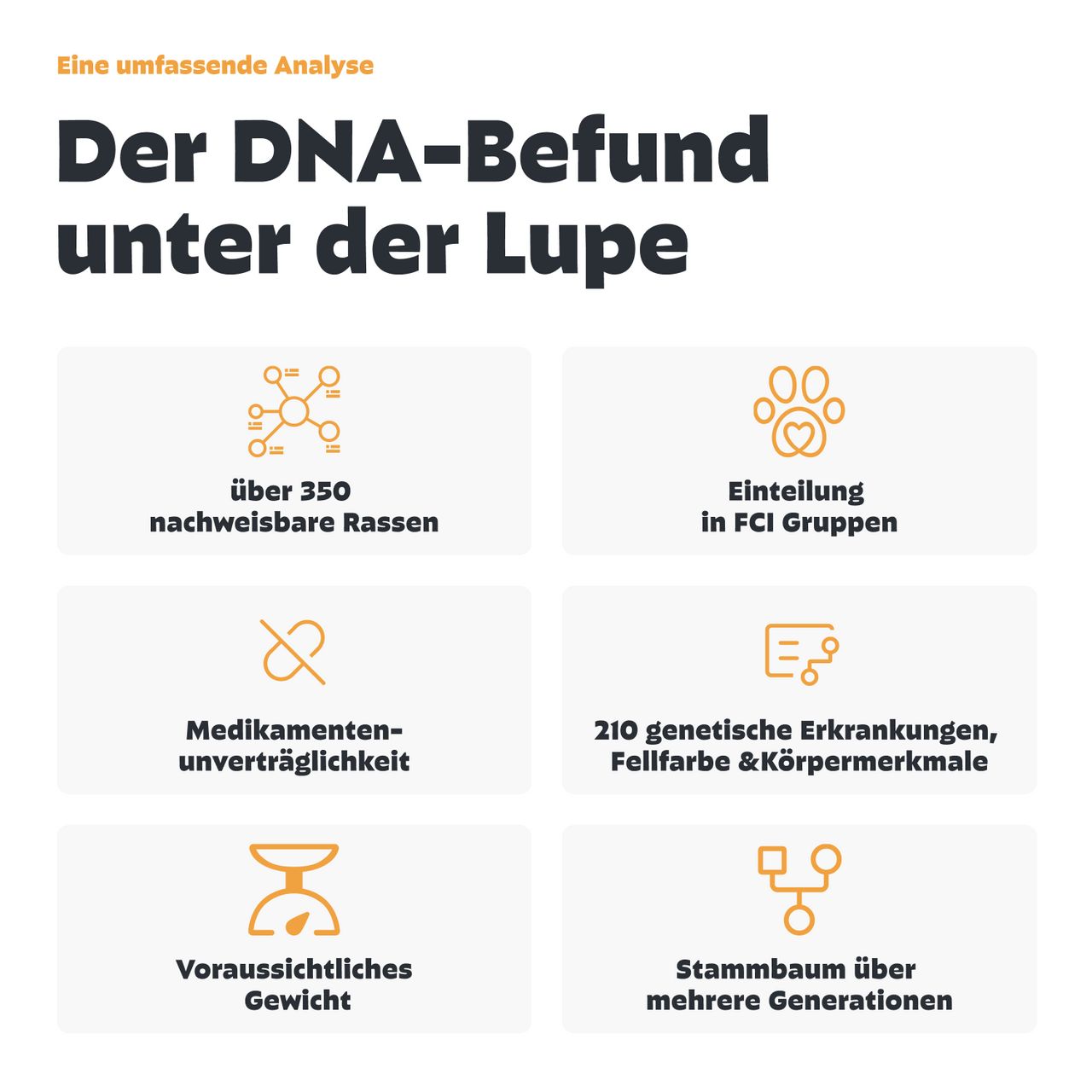 Infografik: Analyse des DNA-Befunds. Über 350 Rassen, Einteilung in FCI-Gruppen, Medikamentenunverträglichkeit.