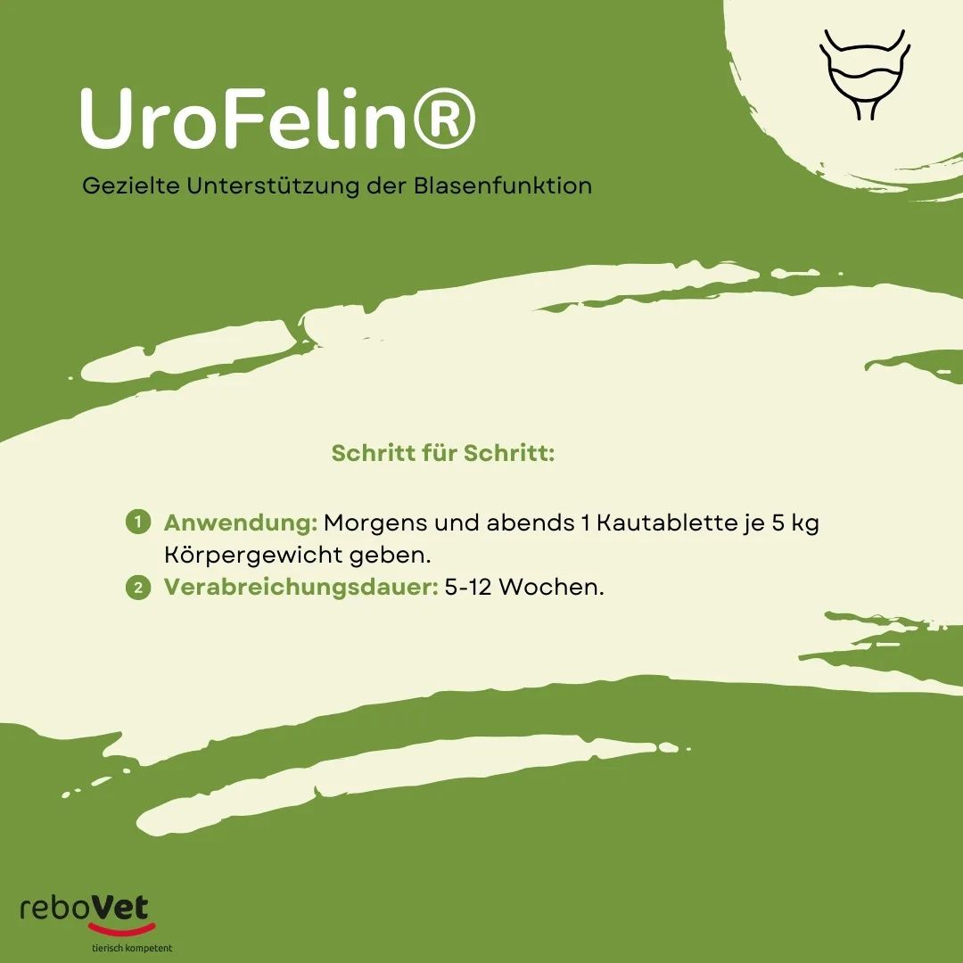 UroFelin: Schritt-für-Schritt-Anleitung zur Anwendung von Kautabletten für Katzen.