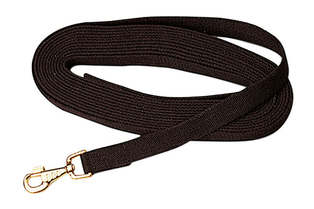 Schwarze Baumwoll-Longe mit Karabinerhaken. Goldfarbener Haken. Gewebtes Material.