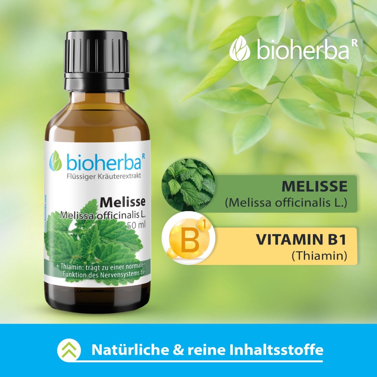 Braune Glasflasche mit schwarzem Deckel. Etikett mit Produktnamen und Kräuterabbildung. Text: Melisse, Vitamin B1. Zusätzliche Grafiken.
