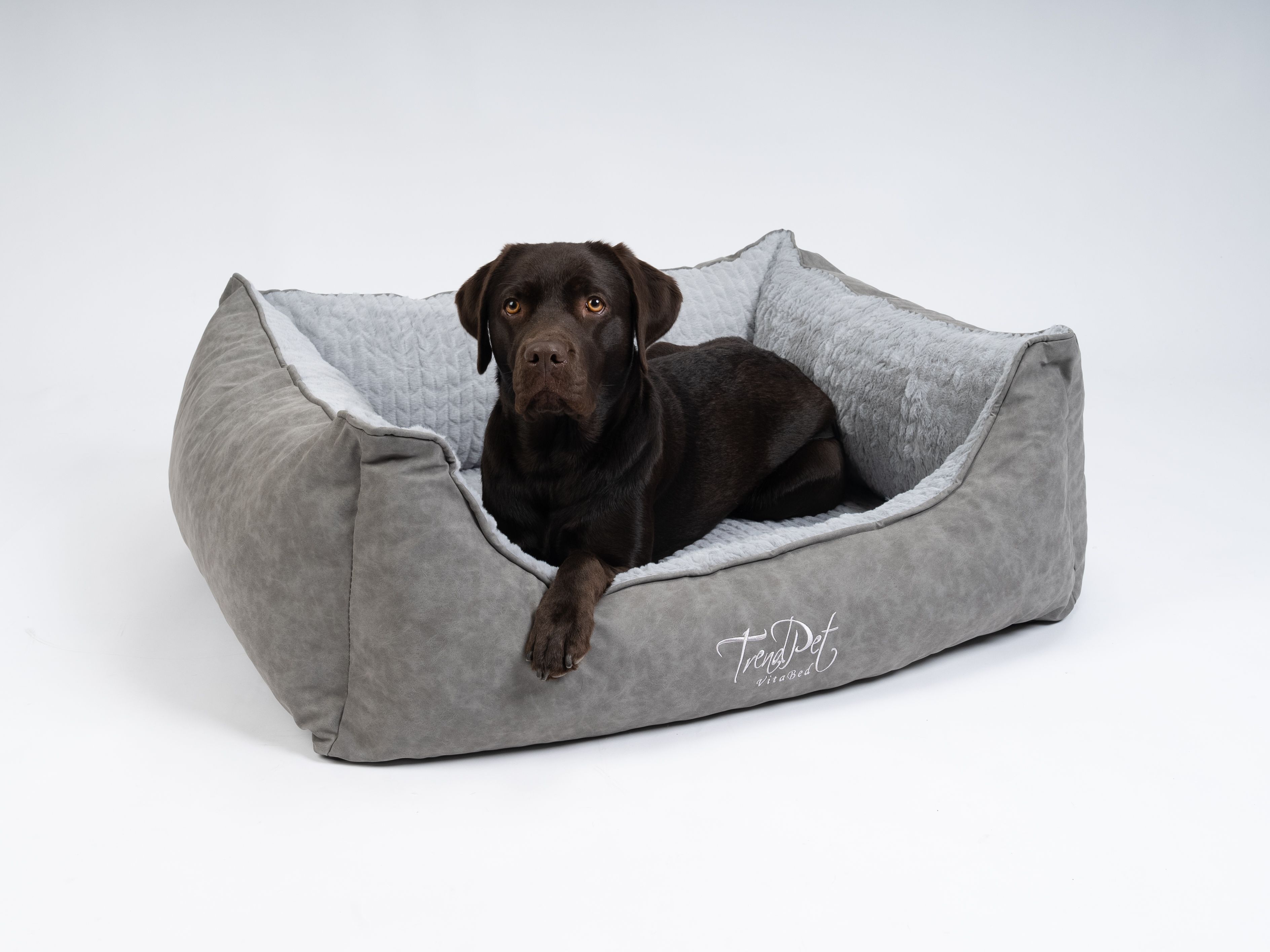 Brauner Hund liegt in einem grauen orthopädischen Hundebett. TrendPet-Logo.