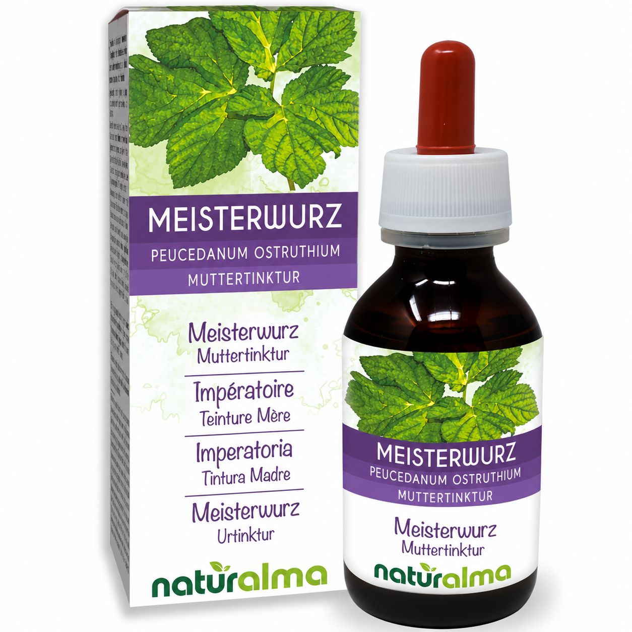 Meisterwurz Muttertinktur von naturalma in Braunglasflasche mit Pipette und Faltschachtel.