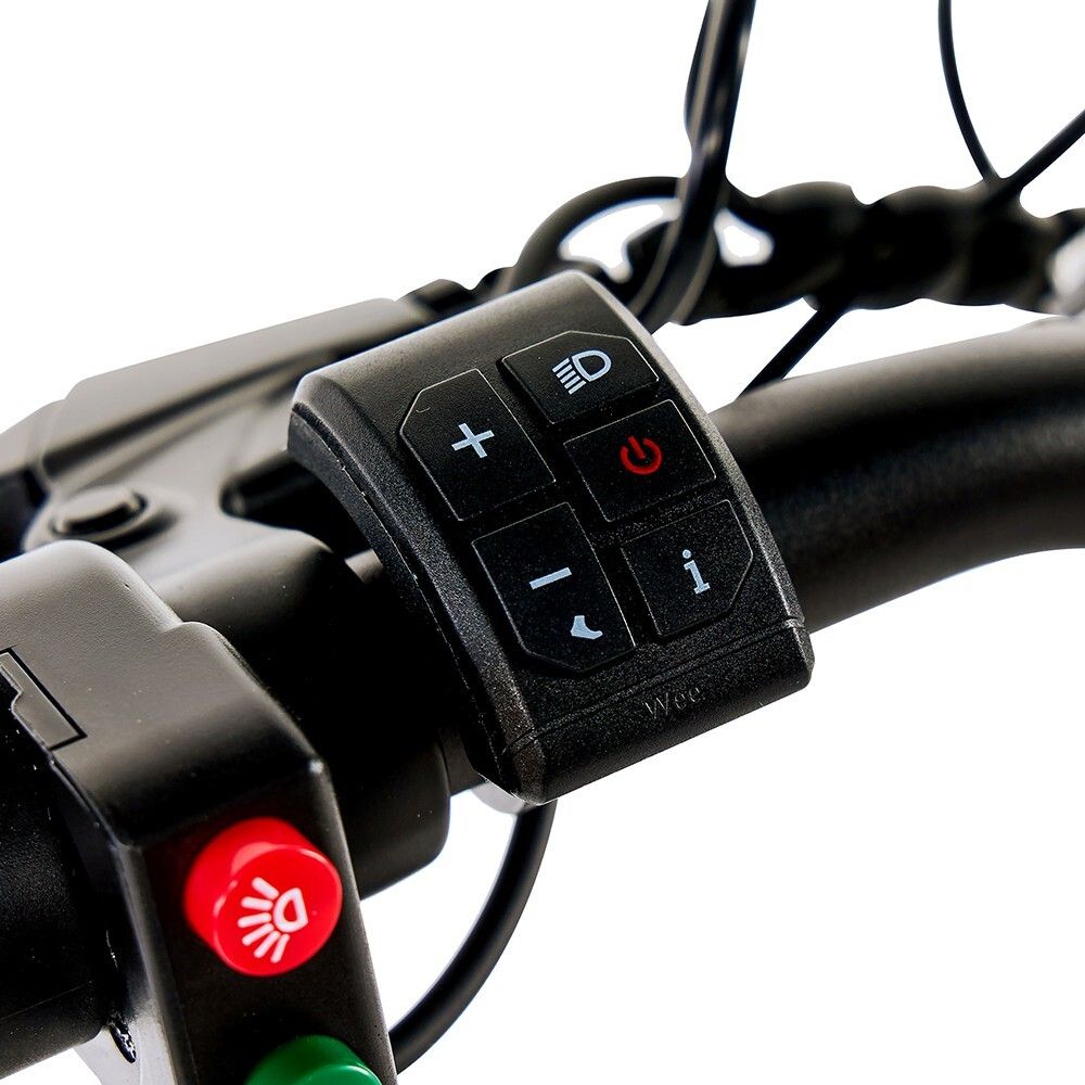 Lenker mit Bedienelementen. Tasten für Licht, Blinker, Ein/Aus und Info.