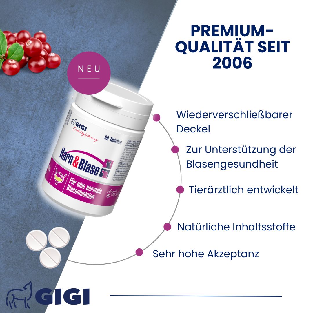Weiße Tabletten-Dose mit Aufschrift "Harn & Blase". Text und Grafiken. Wiederverschließbarer Deckel. Marke GIGI.