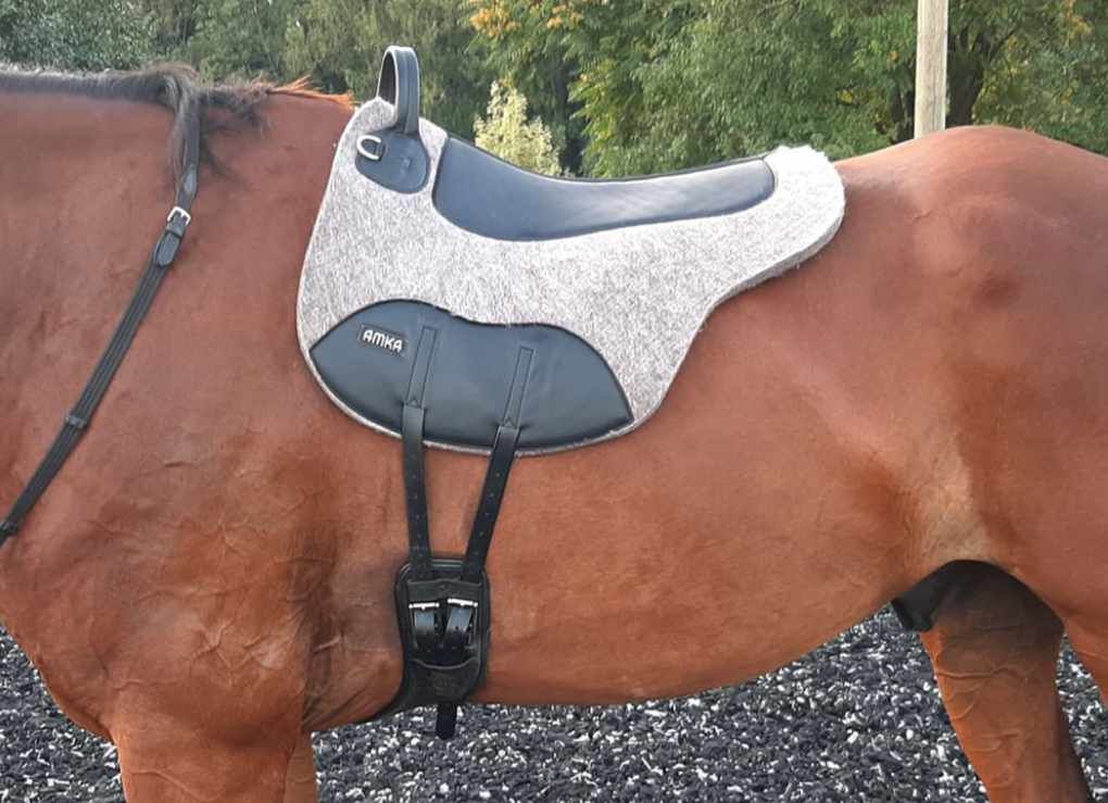 Reitkissen auf einem Pferd. Brauner Filz, schwarzes Leder. AMKA-Logo sichtbar.