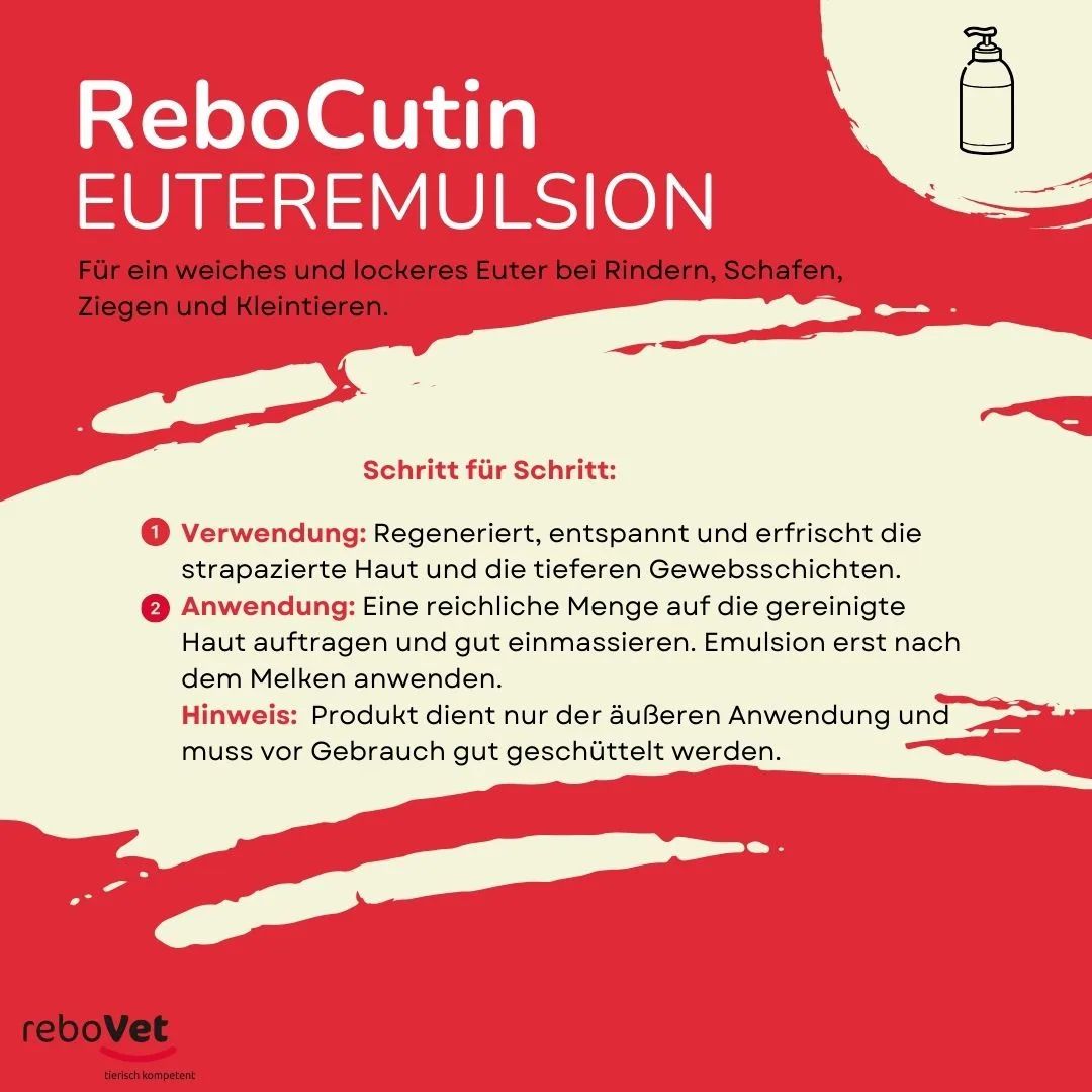 ReboCutin Euteremulsion: Für Rinder, Schafe, Ziegen. Schritt-für-Schritt-Anwendung.