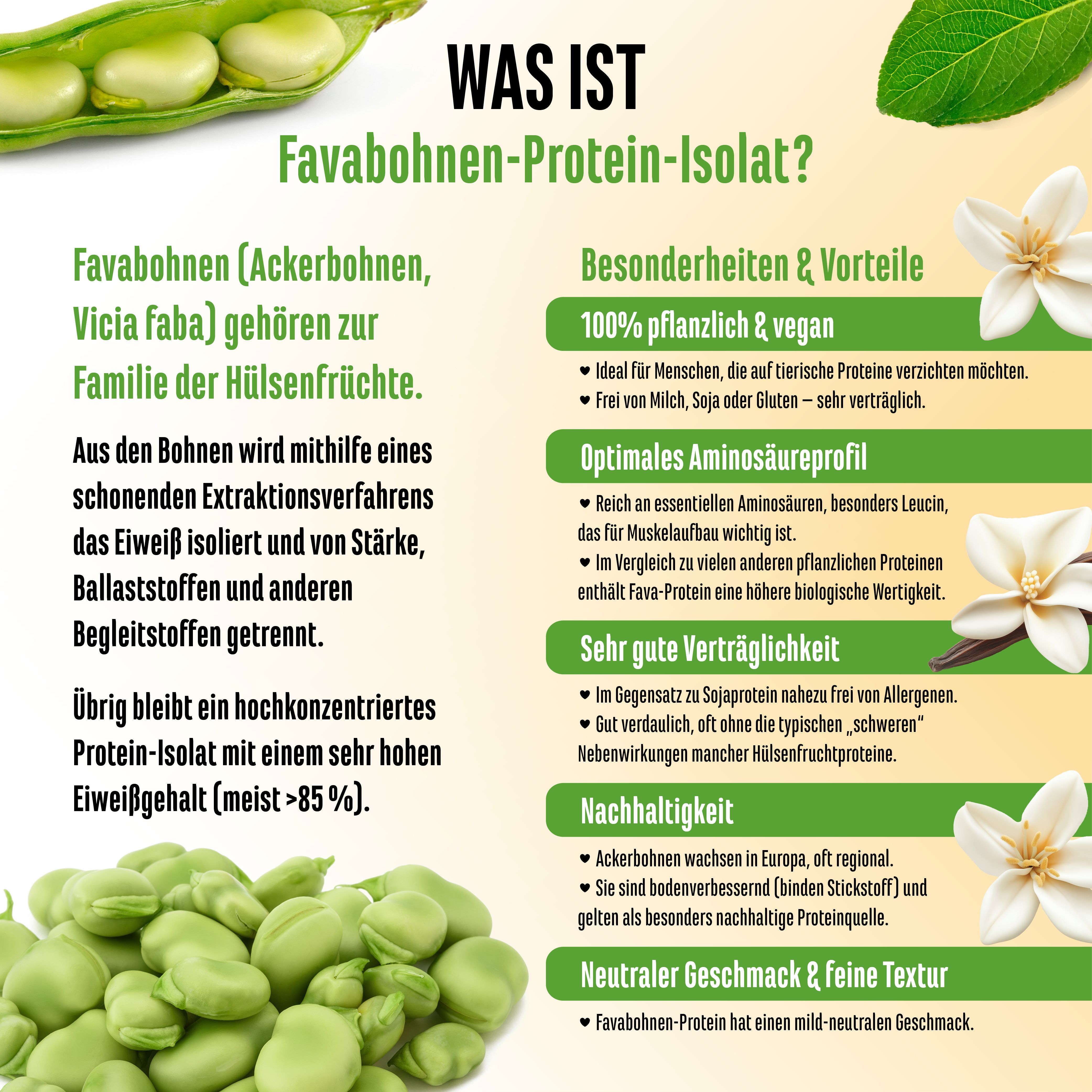 Informationen zu Favabohnen-Protein-Isolat. Vorteile: 100% pflanzlich, optimales Aminosäureprofil, sehr gut verträglich.