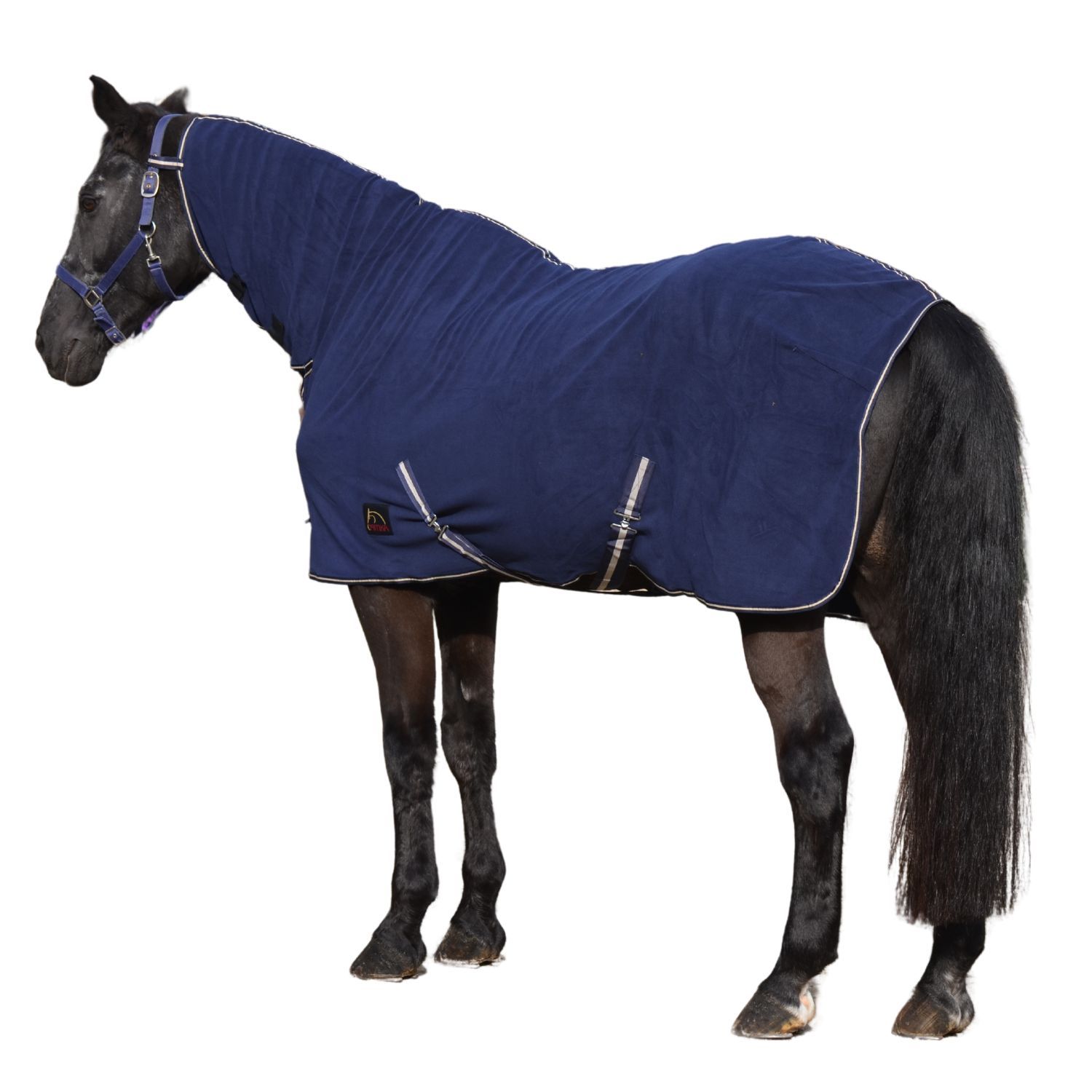 Blaues AMKA Abschwitzdecke mit Halsteil auf einem Pferd. Das Pferd steht auf weißem Hintergrund. Kreuzgurte und Logo.