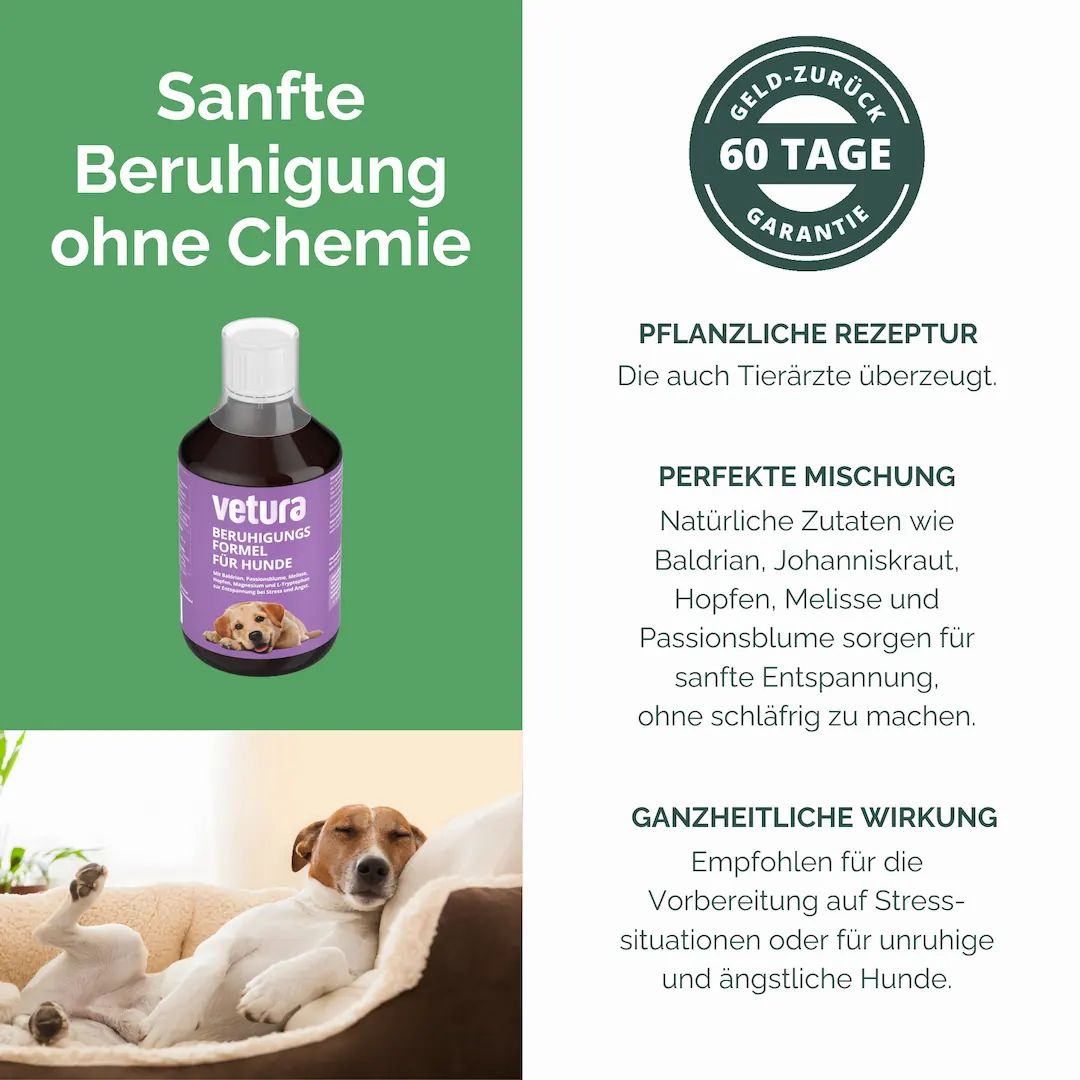Werbung. Flasche mit lila Etikett. Text: Vetura Beruhigungs-Formel für Hunde. Sanfte Beruhigung ohne Chemie. 60 Tage Garantie. Pflanzliche Rezeptur.
