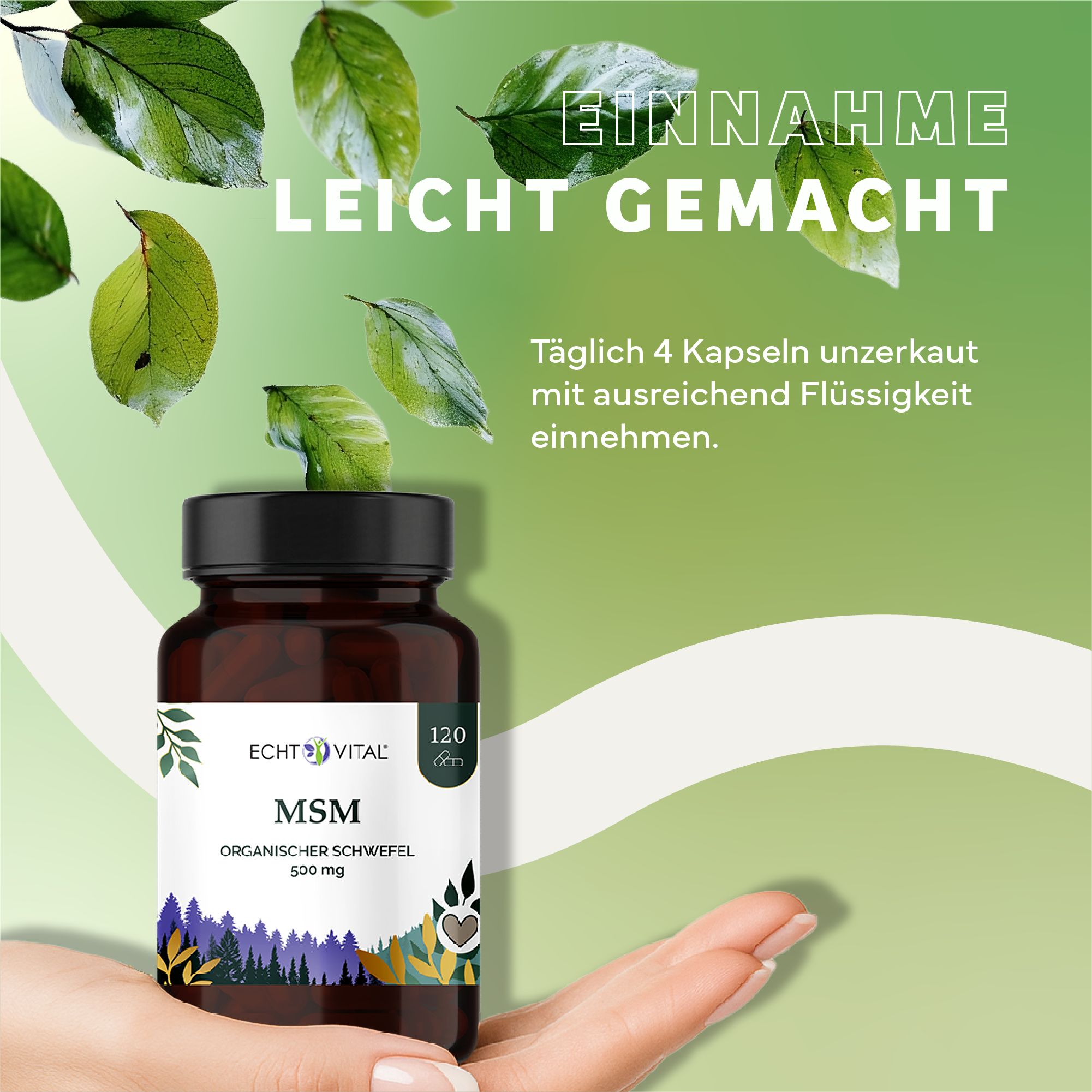 Braune Flasche mit schwarzem Deckel, Etikett "Echt Vital MSM". Hand hält Flasche. Hintergrund mit Blättern und Text "Einnahme leicht gemacht".