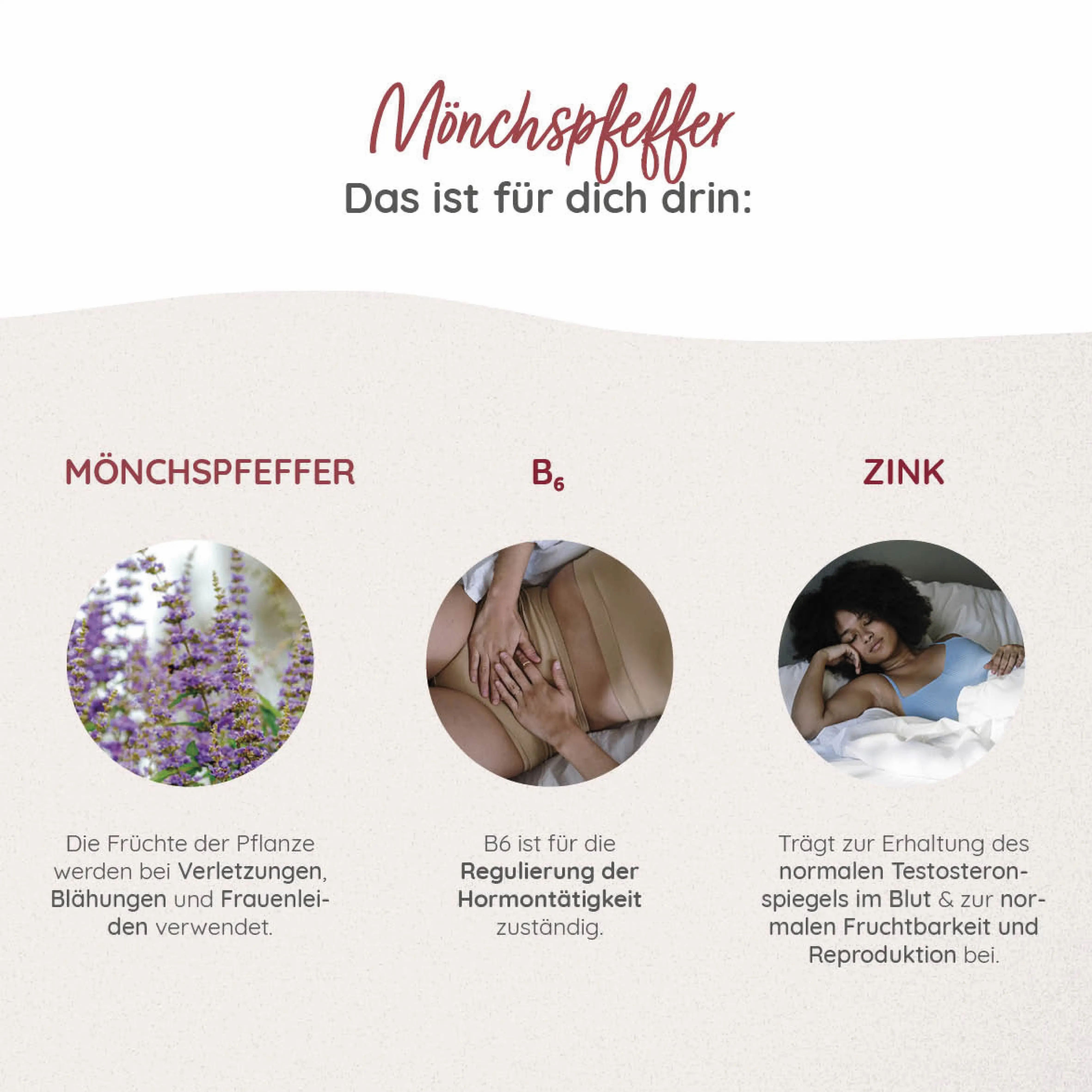 Drei Kreise mit Bildern und Text. Mönchspfeffer, B6 und Zink. Informationen zu Inhaltsstoffen und deren Wirkung.