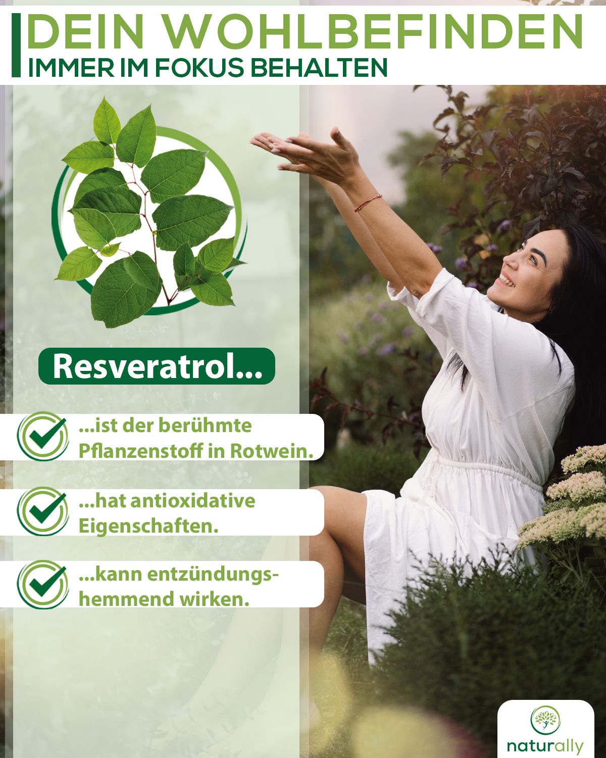 naturally Resveratrol | 500 mg reines Extrakt vom japanischen Staudenknöterich