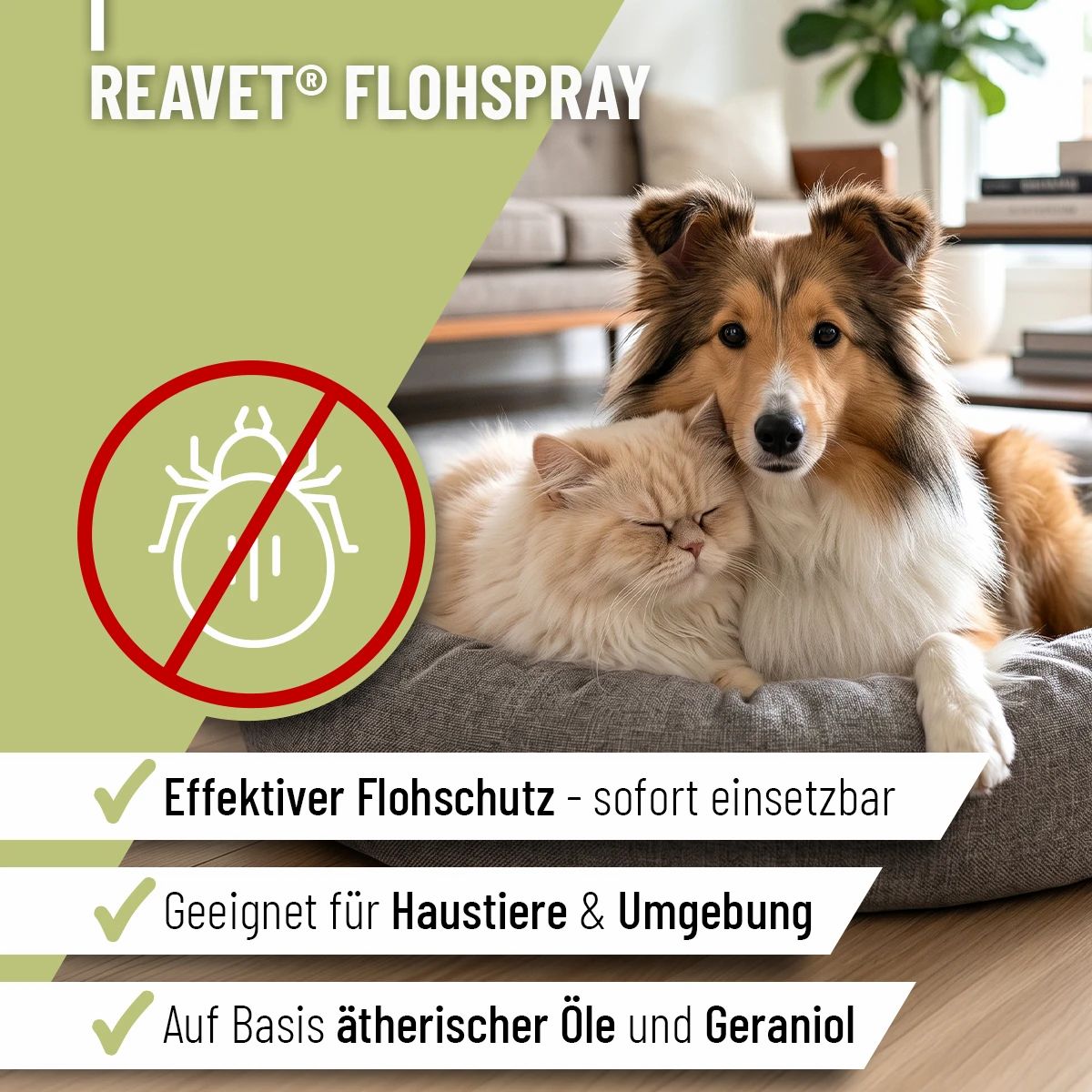 Hund und Katze auf einem Kissen. Roter Kreis mit durchgestrichenem Flohsymbol.