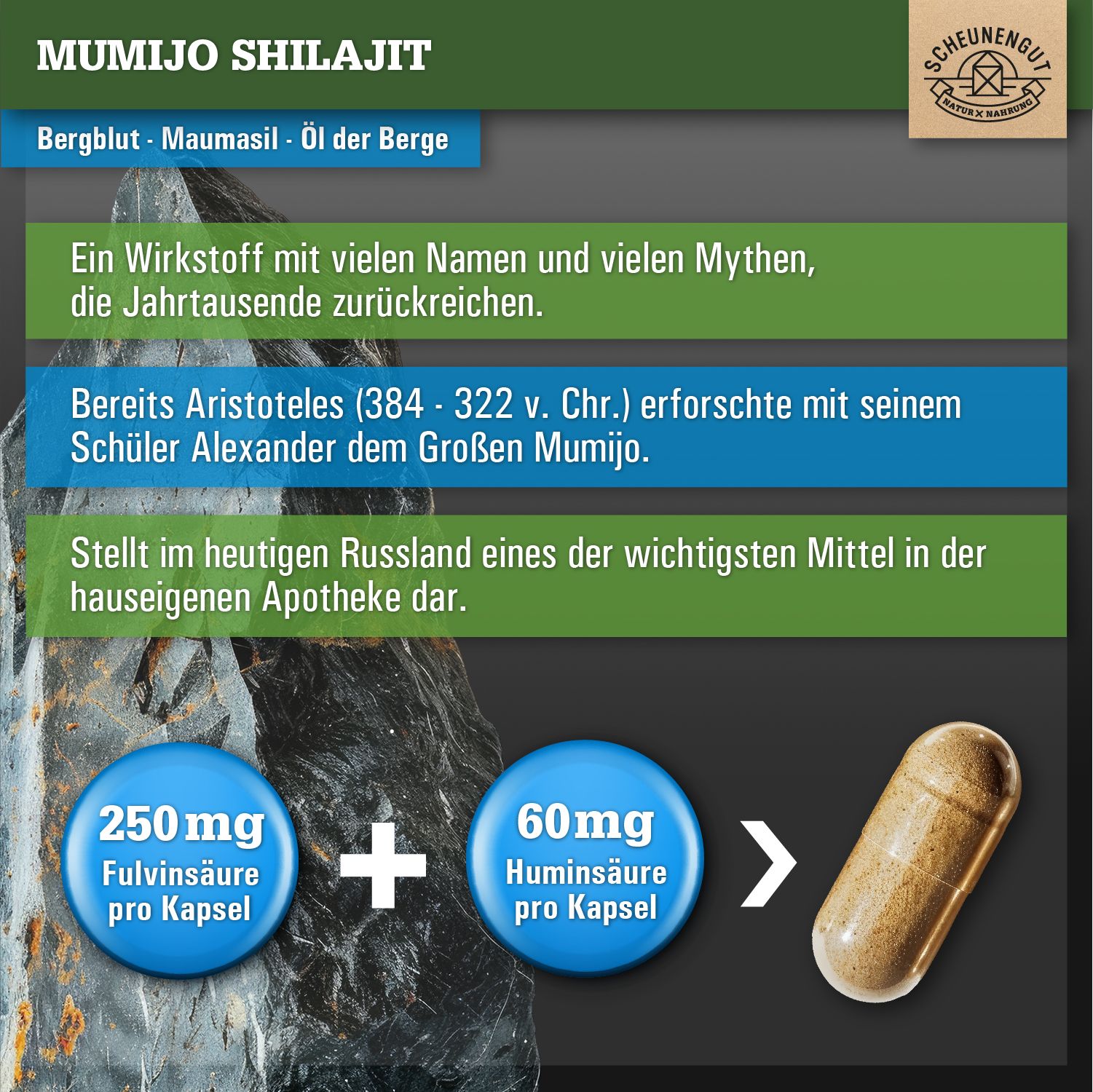 Nahaufnahme einer Shilajit-Kapsel. Text erklärt Fulvinsäure und Huminsäure pro Kapsel.