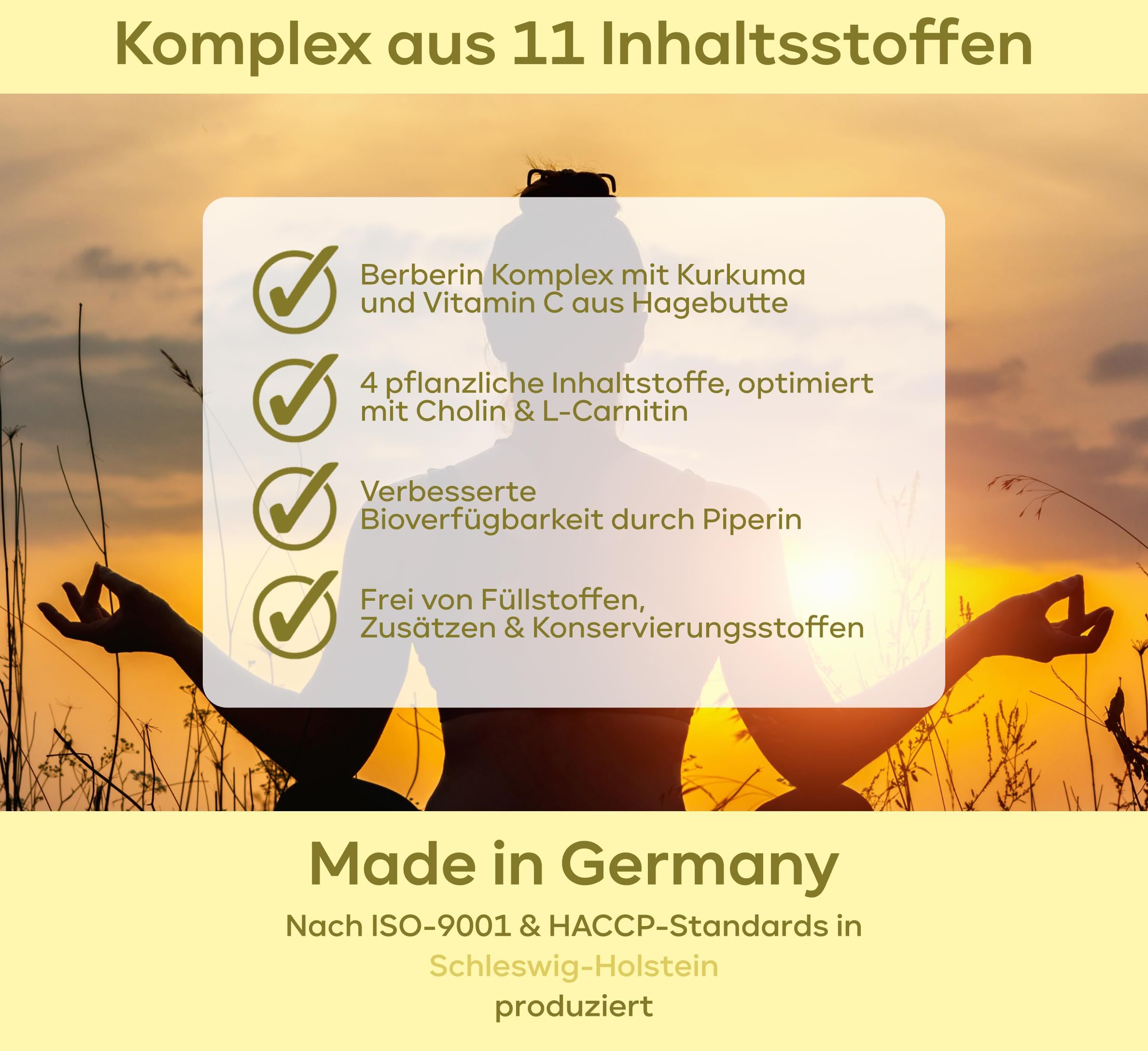 Grafik mit Text: Komplex aus 11 Inhaltsstoffen. Enthält Berberin, Kurkuma, Vitamin C, Cholin, L-Carnitin, Piperin. ISO-9001 & HACCP.