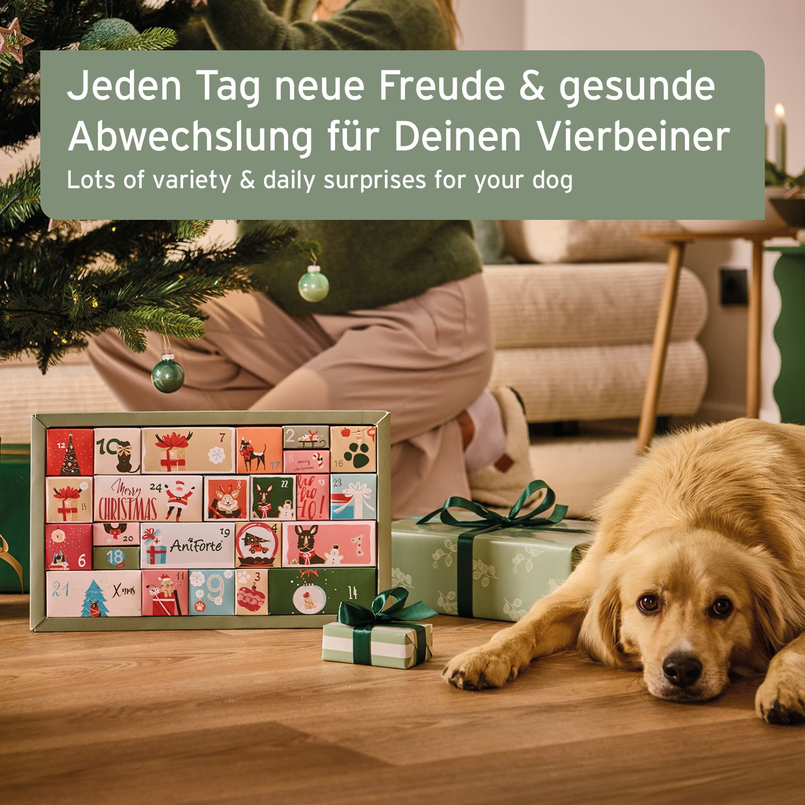 Hunde-Adventskalender mit 24 nummerierten Türchen, dekoriert mit weihnachtlichen Motiven und Hunden.