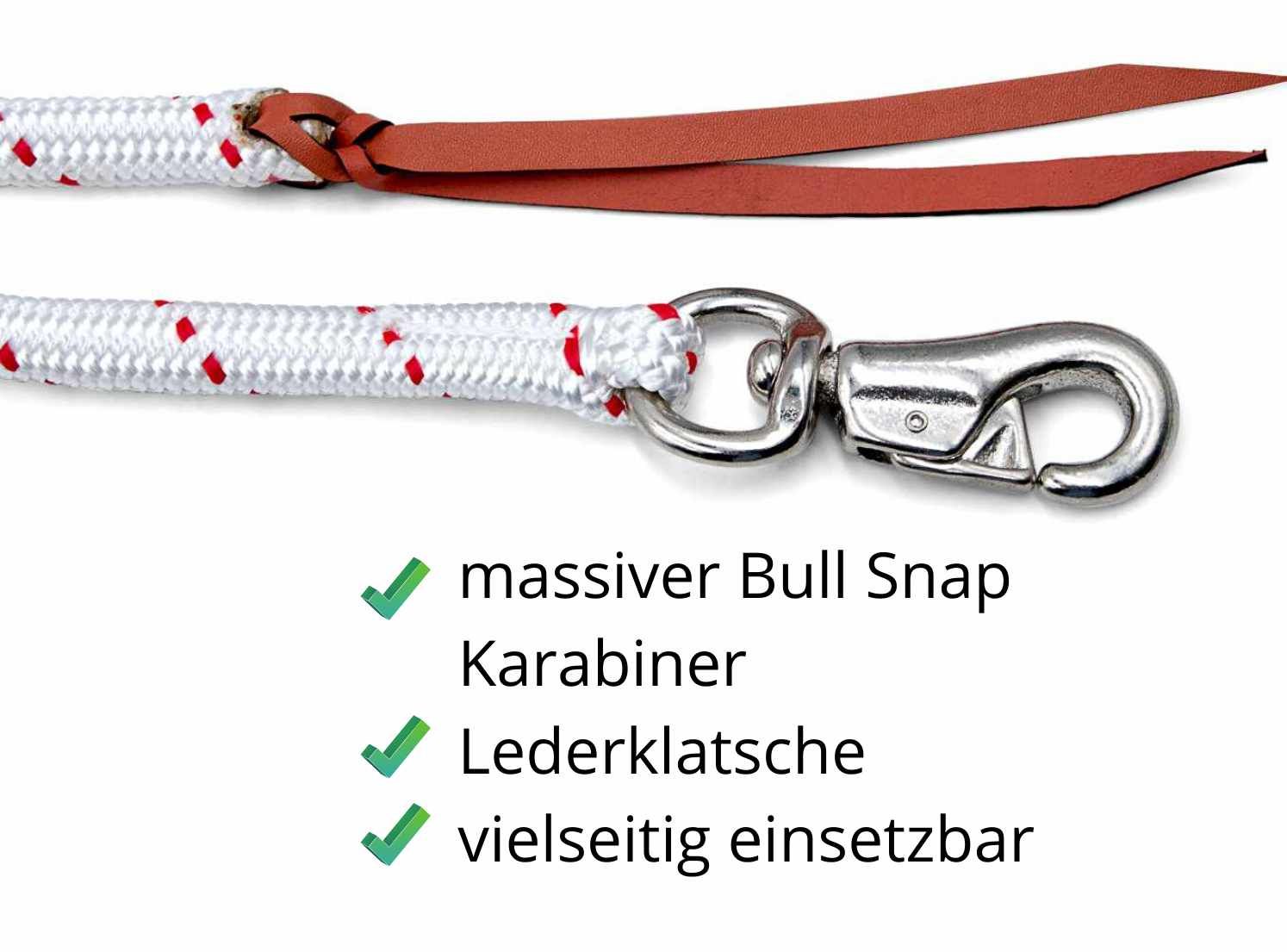 Nahaufnahme von Seil, Lederriemen und Karabinerhaken. Text: massiver Bull Snap, Karabiner, Lederklatsche, vielseitig einsetzbar.