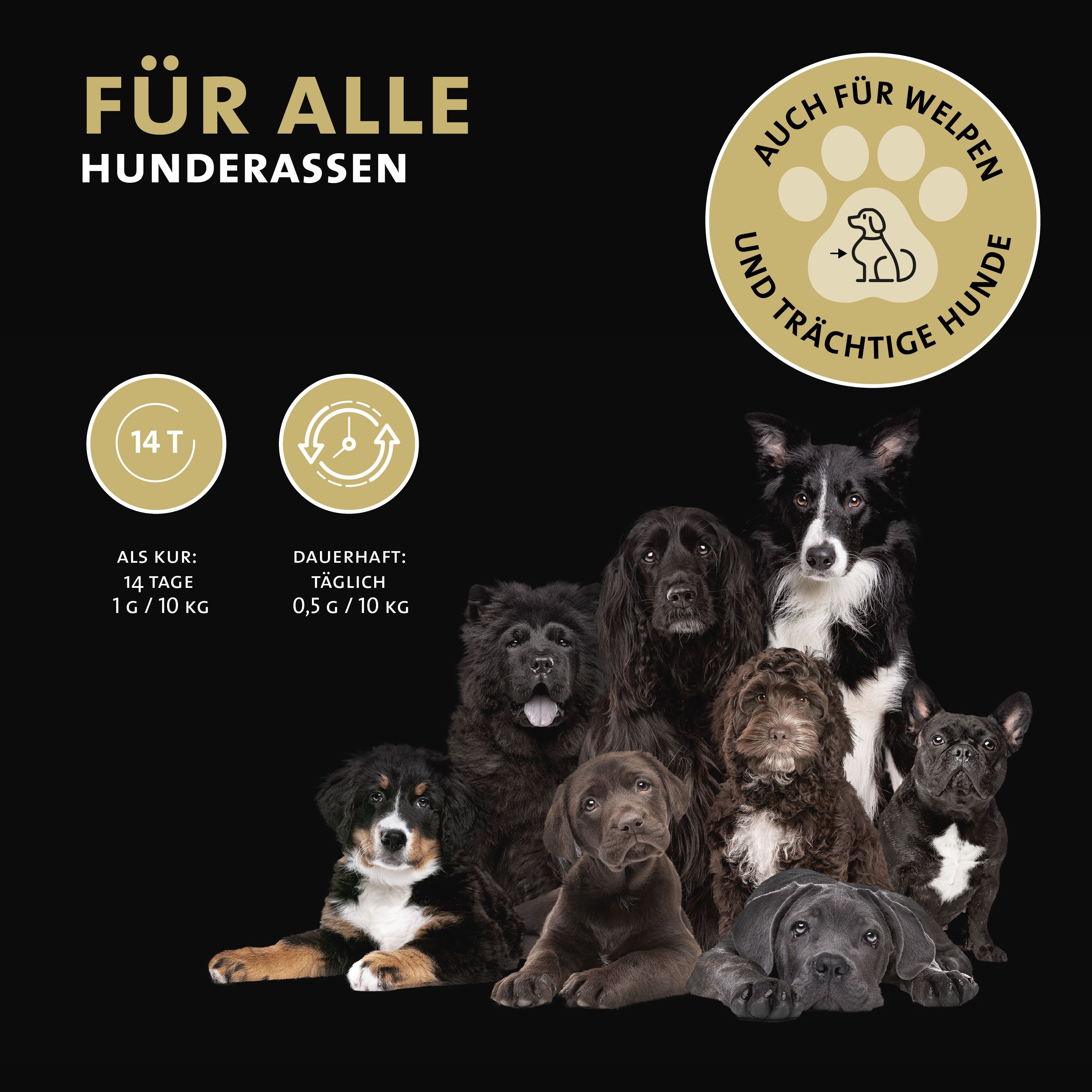 Verschiedene Hunde. Text: Für alle Hunderassen. Auch für Welpen und trächtige Hunde. Dosierung.