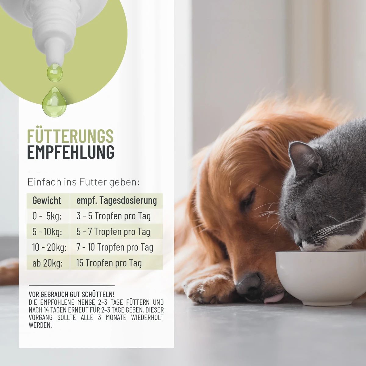 Fütterungsempfehlung. Hund und Katze fressen aus einer Schüssel. Dosierungsempfehlung in Tropfen pro Tag nach Gewicht.