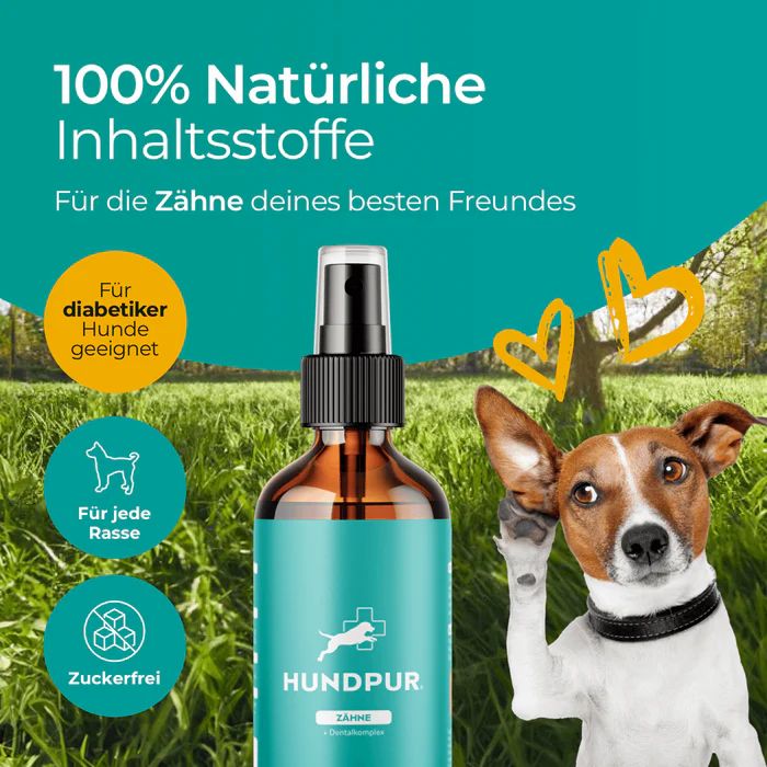 Braune Sprühflasche mit blauem Etikett. Text: Hundpur Zähne. Aufschrift: Für Diabetiker geeignet, für jede Rasse, zuckerfrei. Hund im Hintergrund.