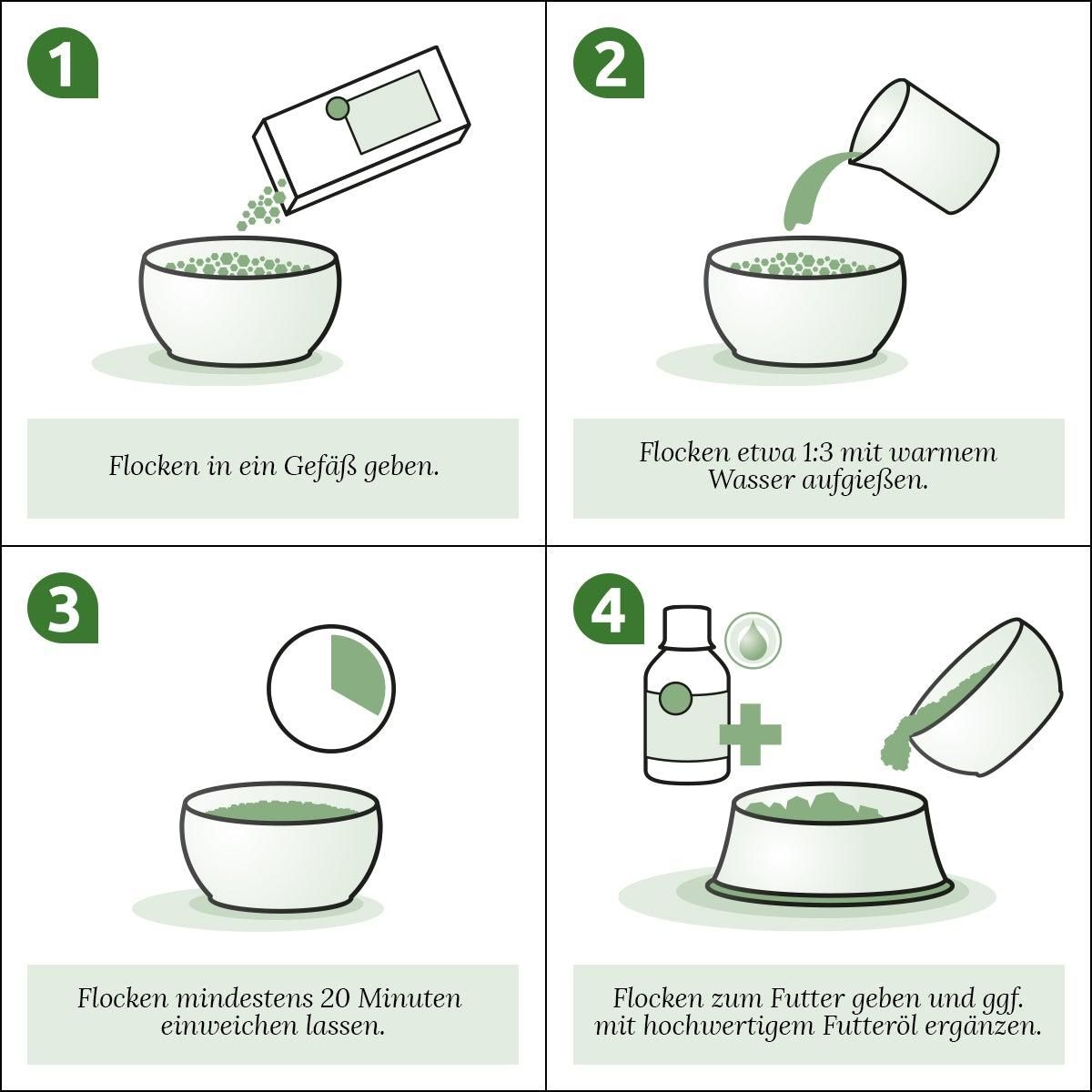 Vier Schritte zur Fütterung. Schüssel, Flocken, Wasser, Öl. Text: Futter in Gefäß, Wasser hinzufügen, einweichen, Öl hinzufügen.