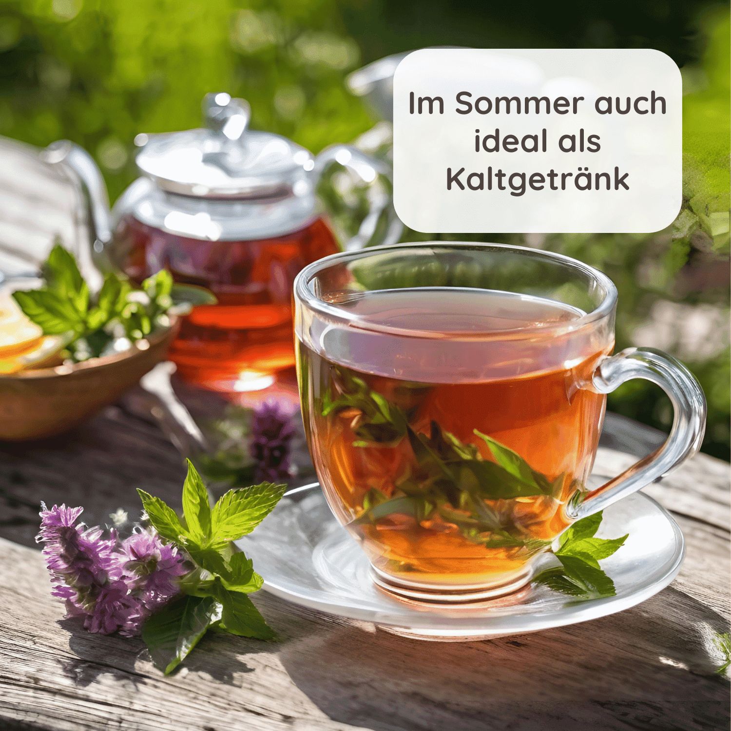 Schlosskräuter Lebertee
