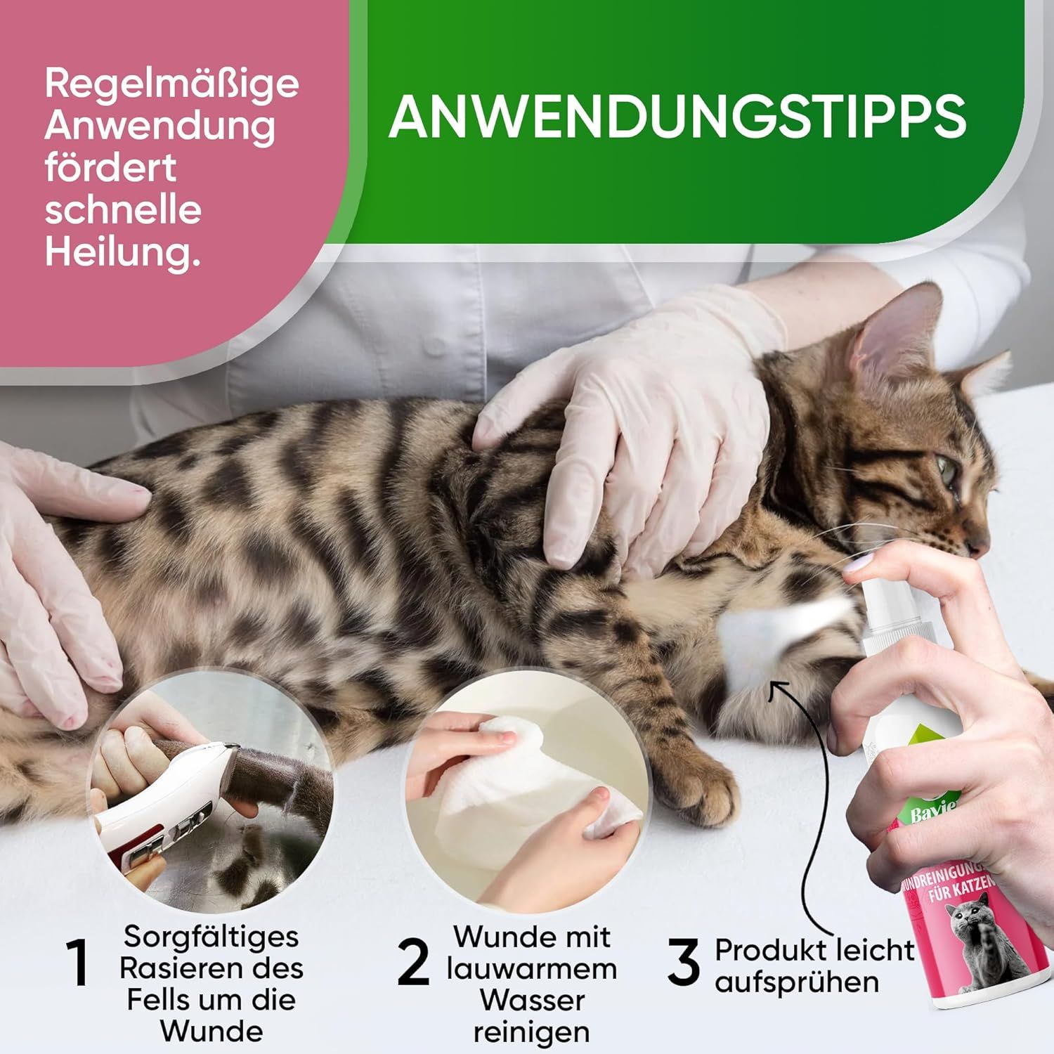 Baviette Wundreinigungslösung für Katzen