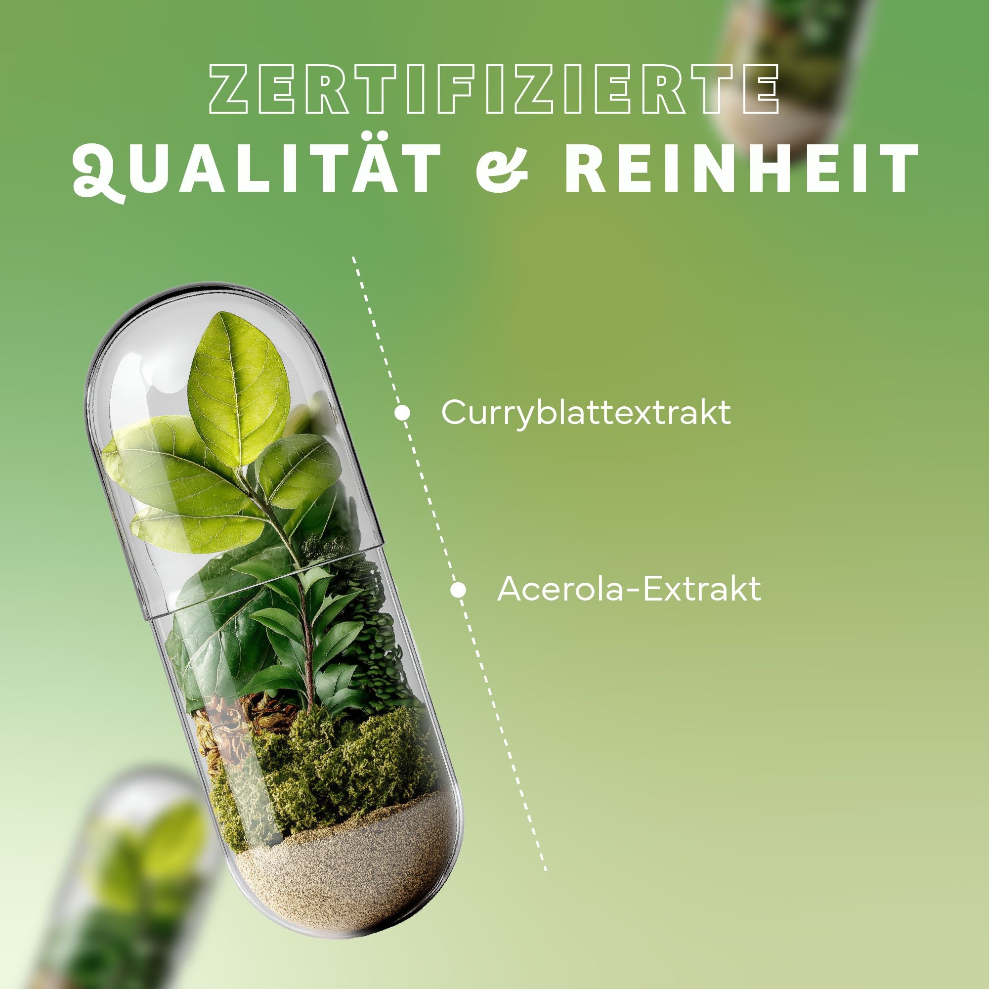 Kapsel mit Pflanzen. Zertifizierte Qualität & Reinheit. Curryblattextrakt und Acerola-Extrakt. Hintergrund grün.