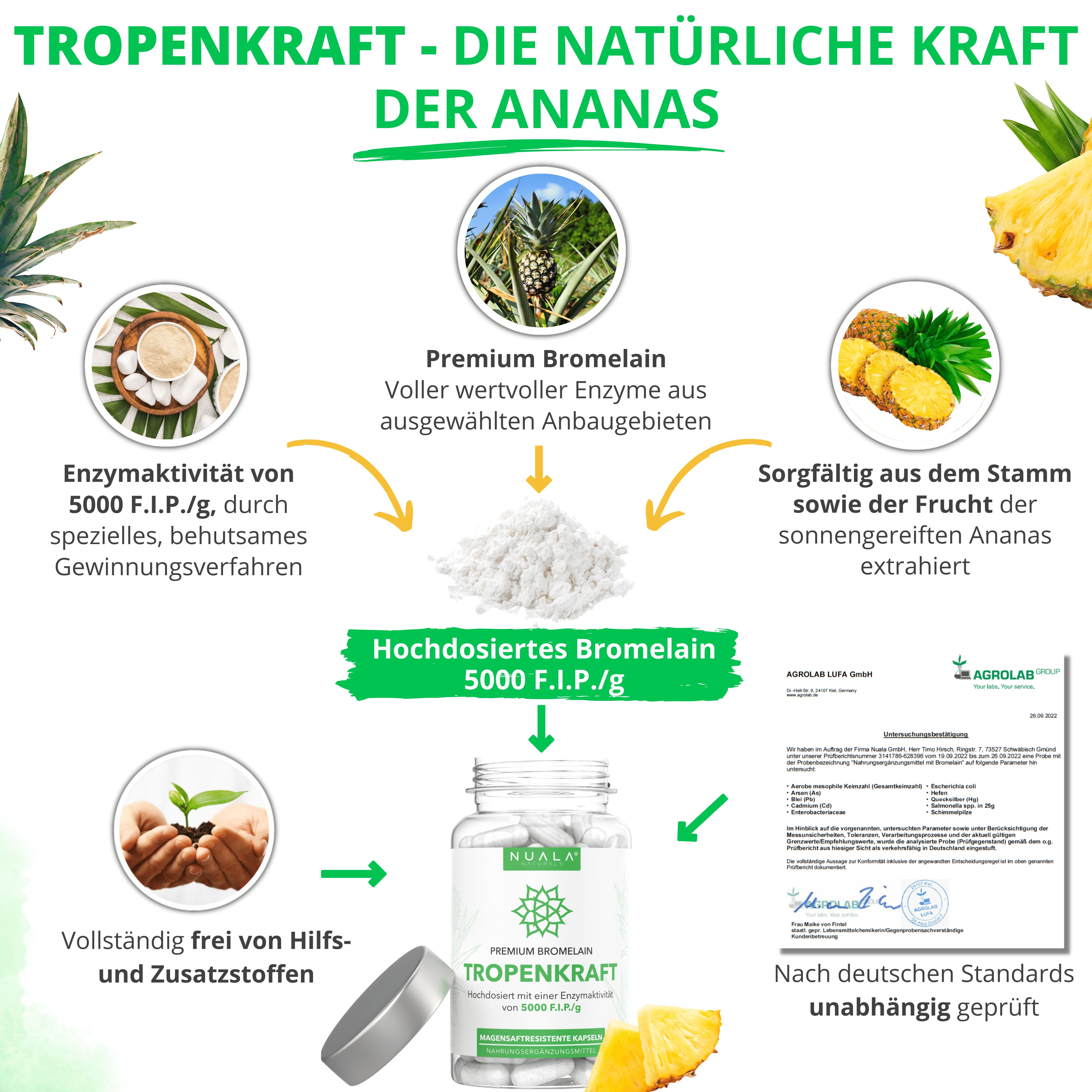 Eine Flasche Nuala Naturals® Tropenkraft mit Bromelain-Pulver und Ananas-Stücken. Enthält 5000 F.I.P./g Bromelain.
