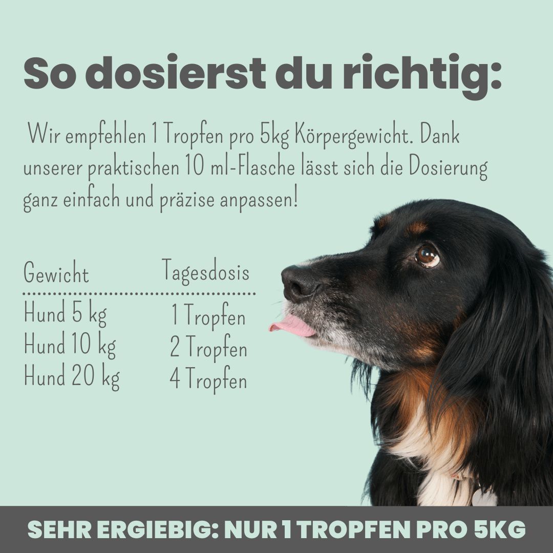 10% CBD Tropfen für Hunde aus Deutschland