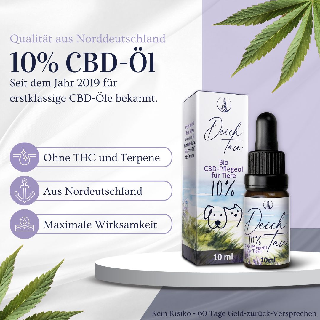 Deichtau 10% CBD Öl: Flasche mit Pipette und Umverpackung auf Podest.