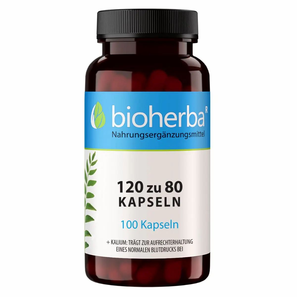 Braune Kapsel-Dose mit blau-weißem Etikett. Aufschrift: bioherba, 120 zu 80 Kapseln, Nahrungsergänzungsmittel.