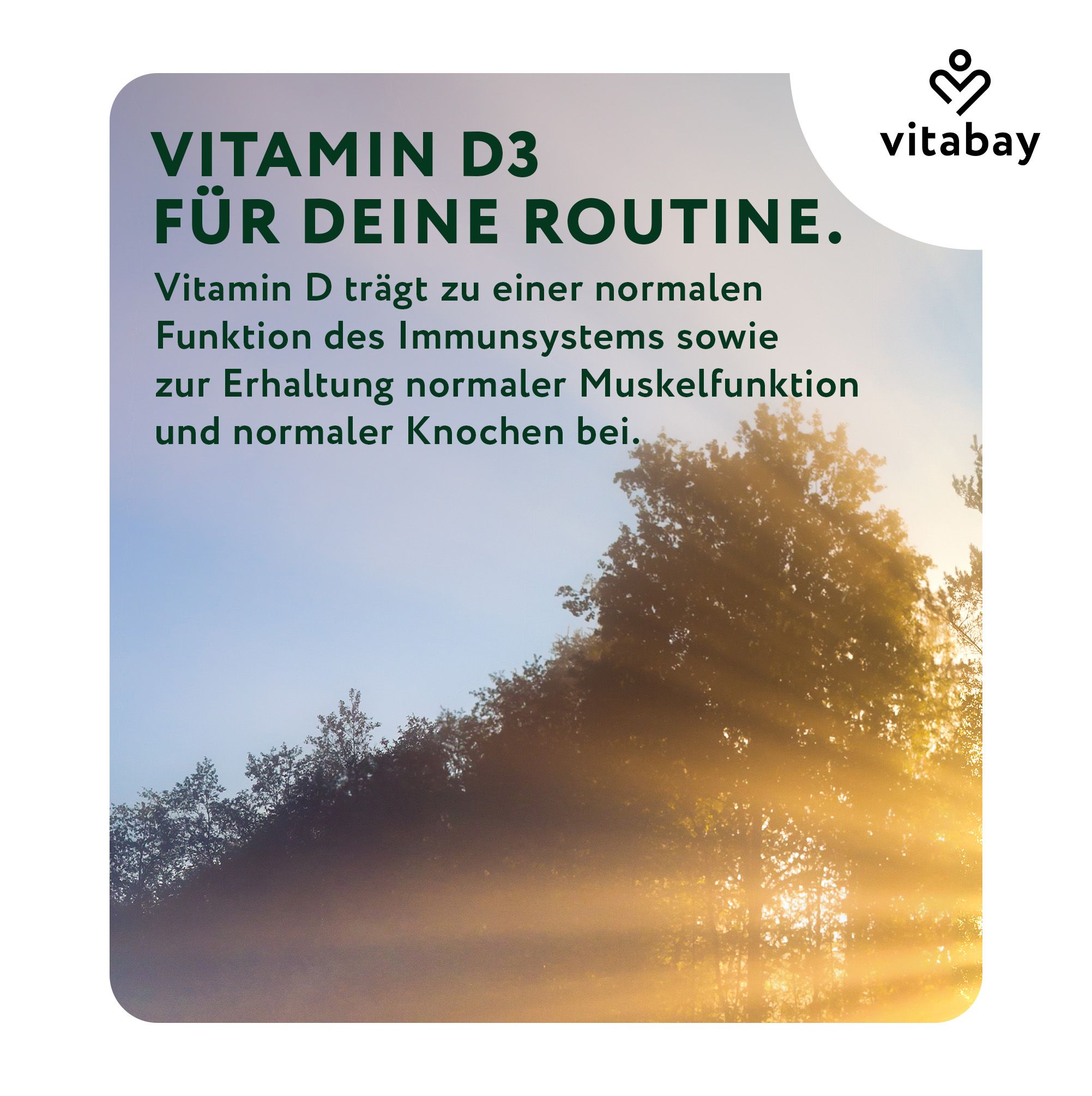 Vitabay Vitamin D3 Depot für Ihre Routine, unterstützt Immunsystem, Muskeln, Knochen.