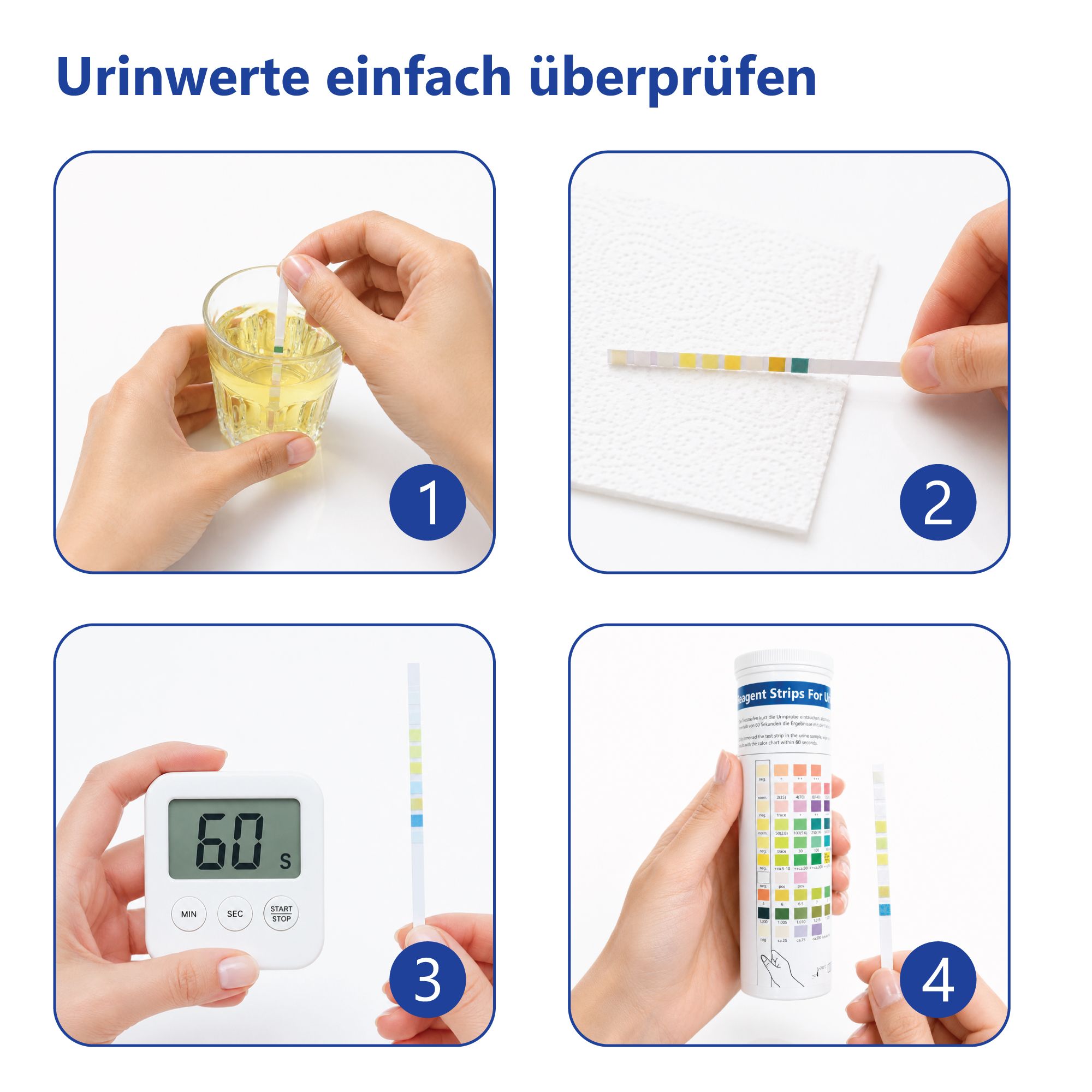 Vier Schritte zur Urinanalyse: Eintauchen, abwischen, Zeit stoppen, Ergebnis vergleichen. Teststreifen und digitale Stoppuhr.