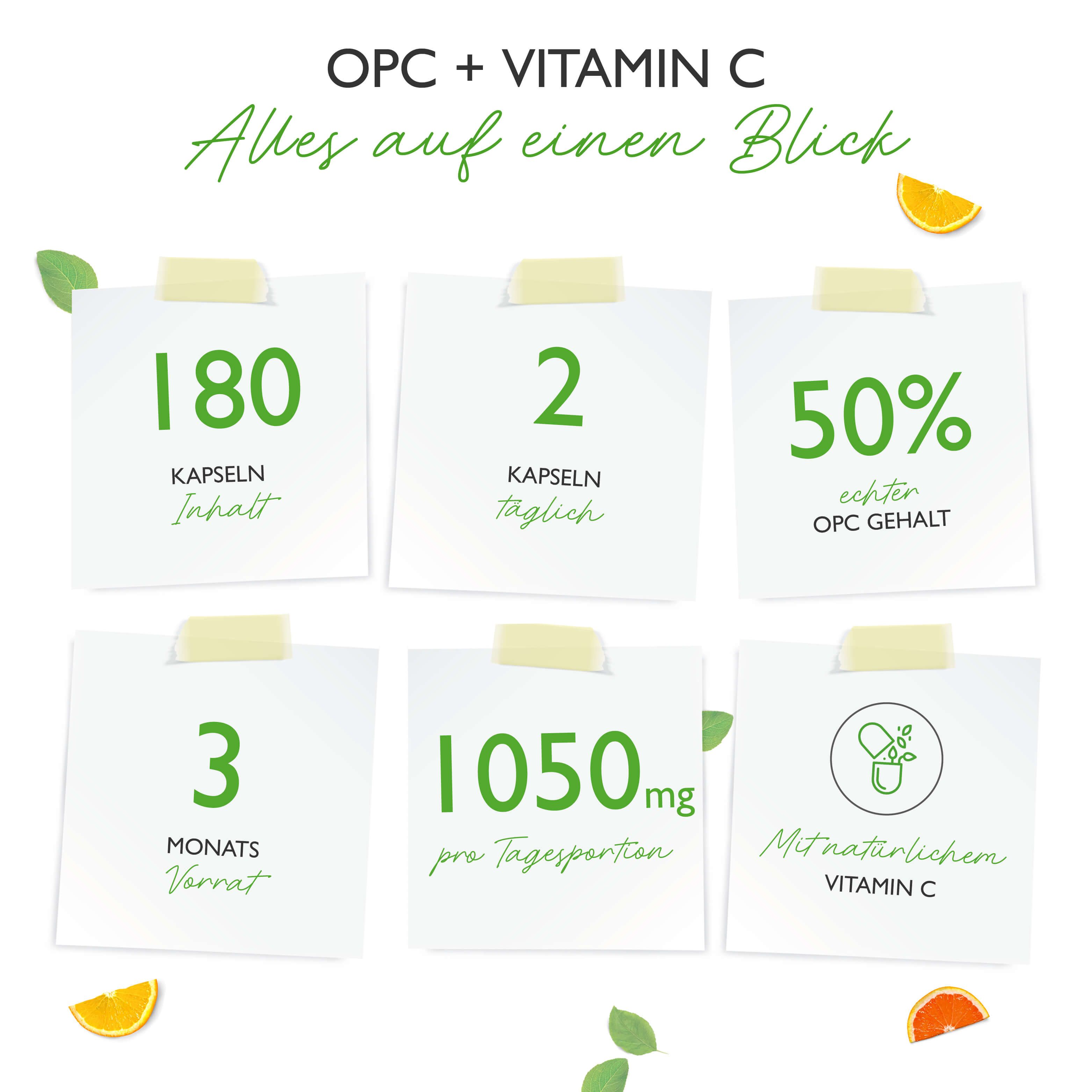 Infografik: OPC + Vitamin C. 6 Notizzettel mit Informationen: Kapseln, Inhalt, etc.