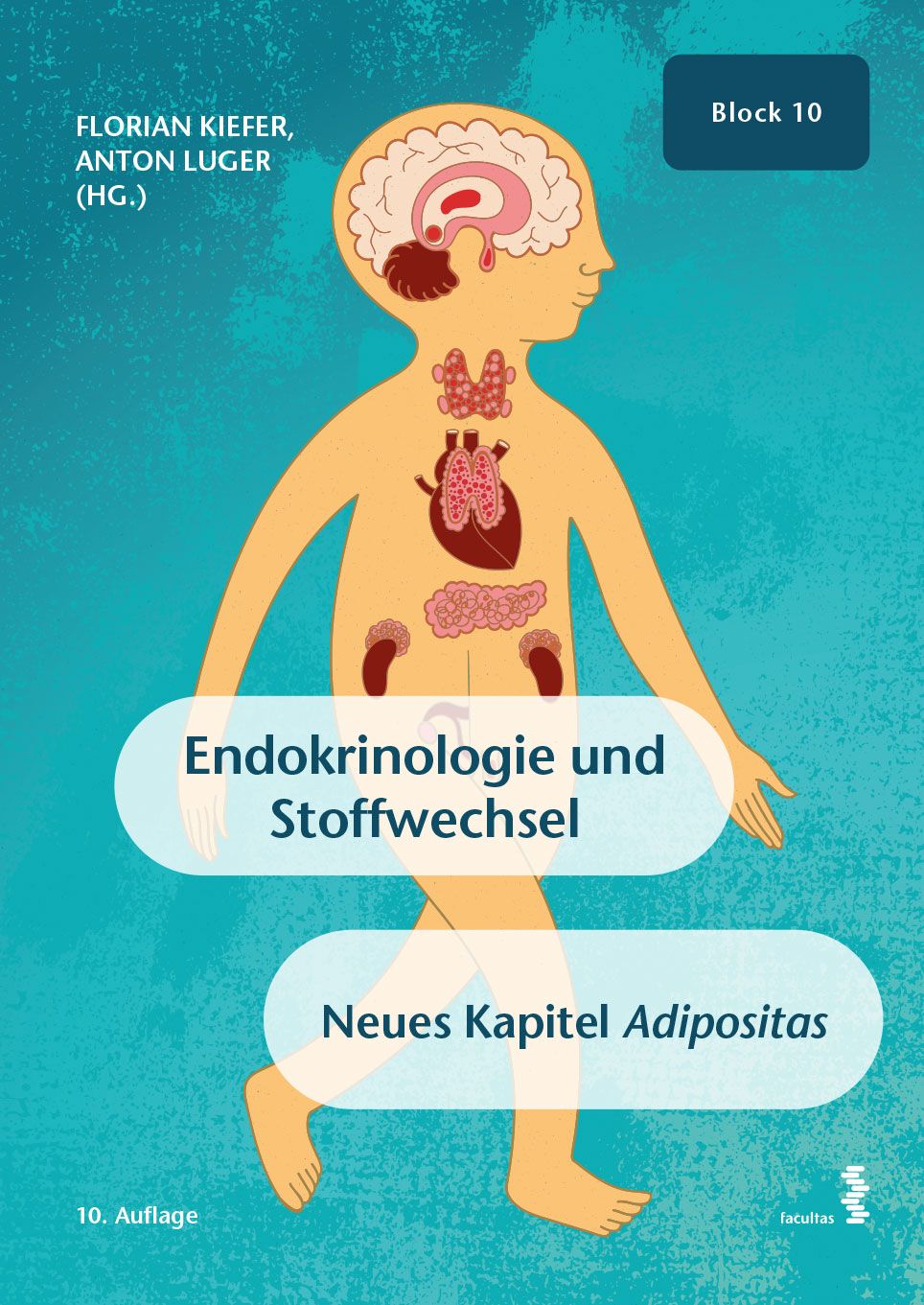 Buchcover mit Illustration eines menschlichen Körpers. Titel: Endokrinologie und Stoffwechsel. Autoren: Florian Kiefer, Anton Luger.