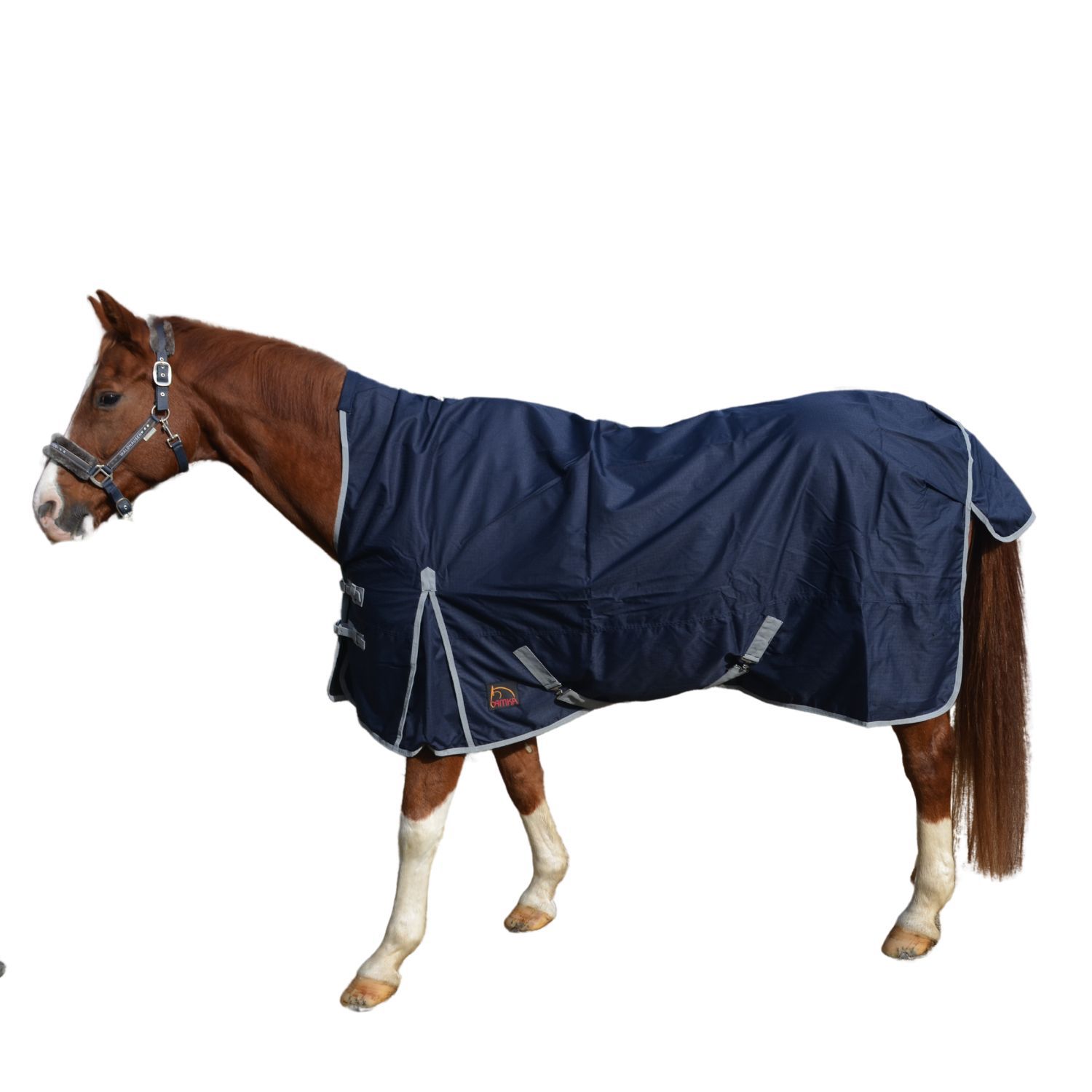 Pferdedecke, dunkelblau, mit silberfarbenen Rändern. Das Pferd trägt die Decke. Hoher Halsausschnitt, Schnallen und Gurte.