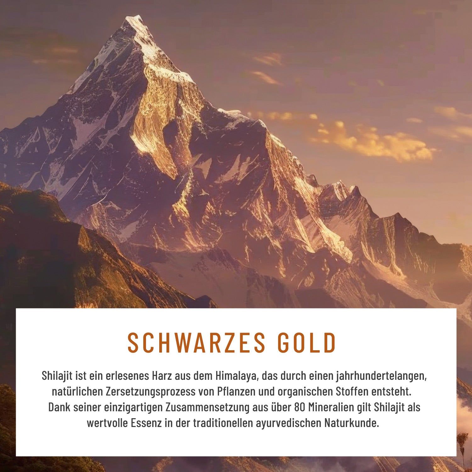 Landschaftsfoto mit Berg. Text: SCHWARZES GOLD. Text über Shilajit und seine Herkunft.