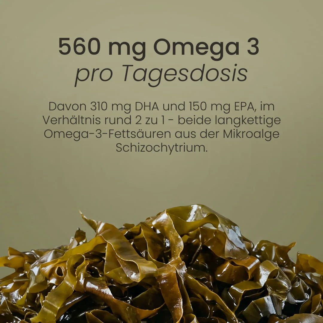 Braune Algen, reich an Omega-3-Fettsäuren, DHA und EPA.