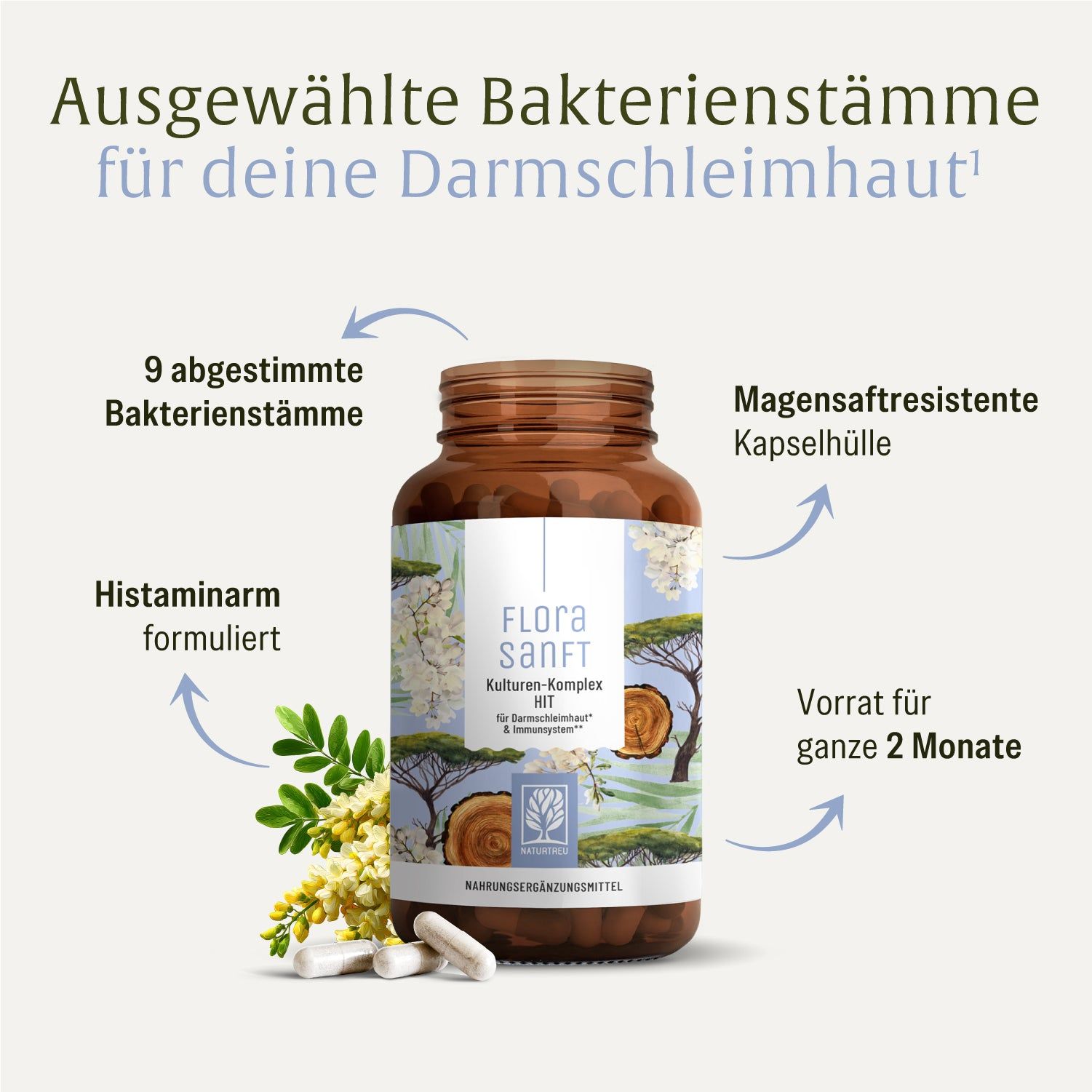 FLORASANFT Kulturen-Komplex HIT: Flasche mit detaillierten Informationen und Pfeilen.