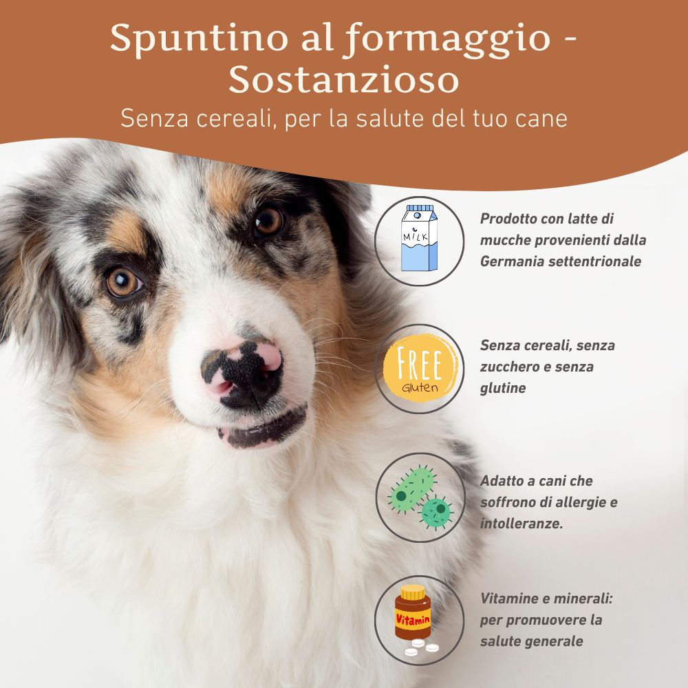 Hund mit Text über glutenfreie, zuckerfreie Snacks. Wildfang Logo. Illustrationen von Vitaminen und Milch.