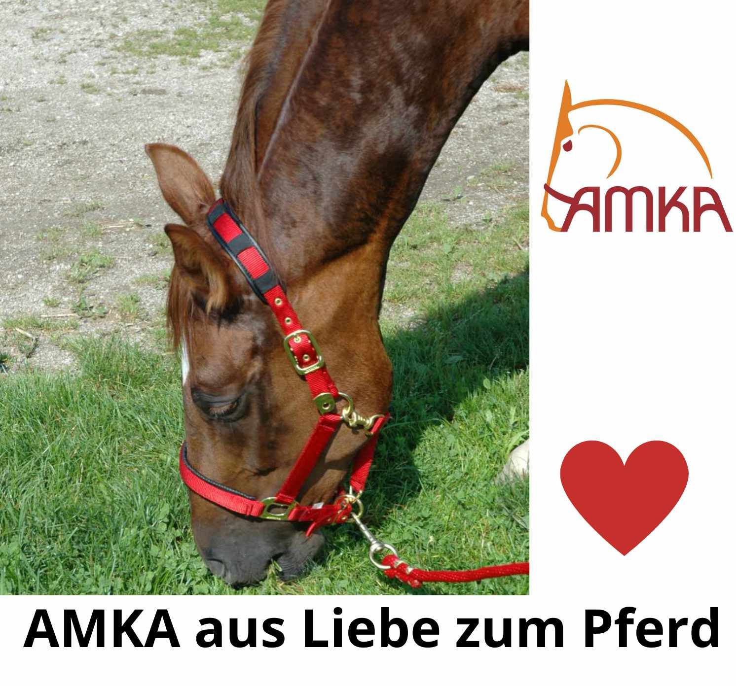 Pferd mit rotem Halfter, frisst Gras. AMKA Logo oben rechts. Text: AMKA aus Liebe zum Pferd. Rotes Herz.