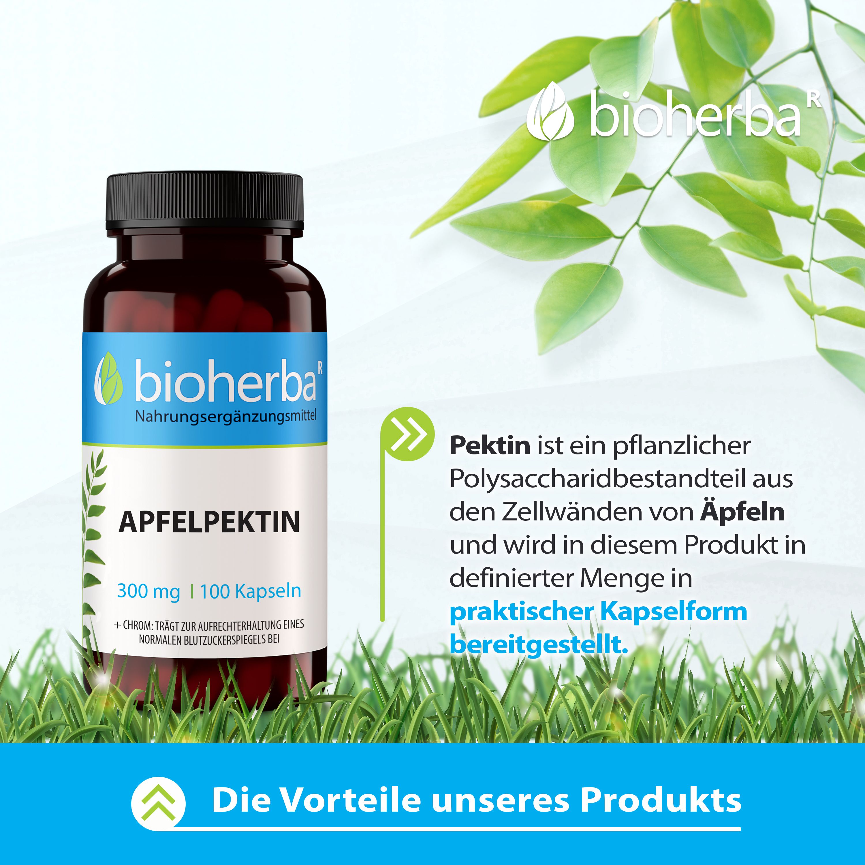 Braune Flasche mit schwarzen Deckel. Aufschrift: Bioherba, Apfelpektin, 300 mg, 100 Kapseln. Text über Apfelpektin in Kapselform.