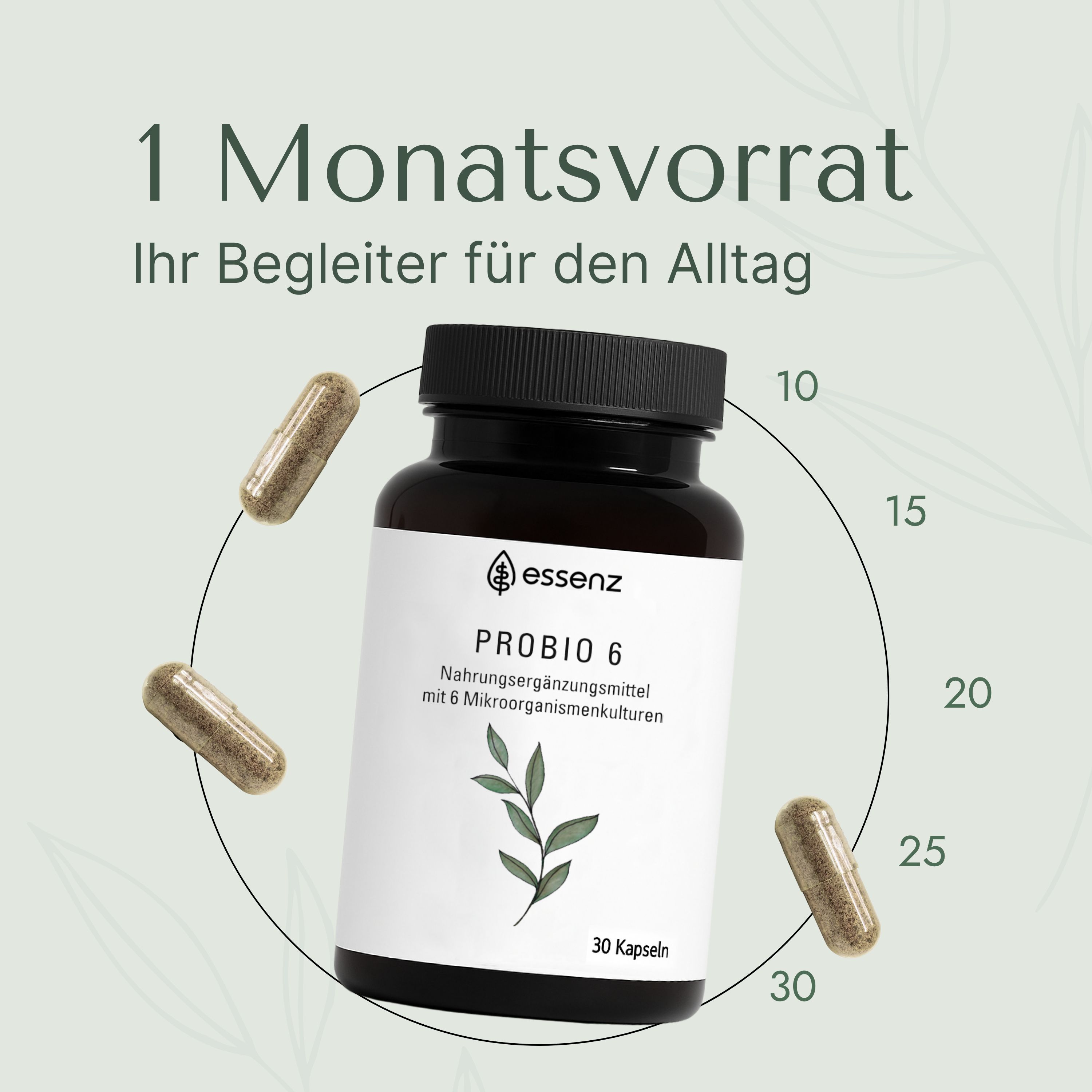 ESSENZ Probio 6 – 6 Bakterienstämme mit 10 Milliarden KBE & Inulin – Probiotische Kulturen