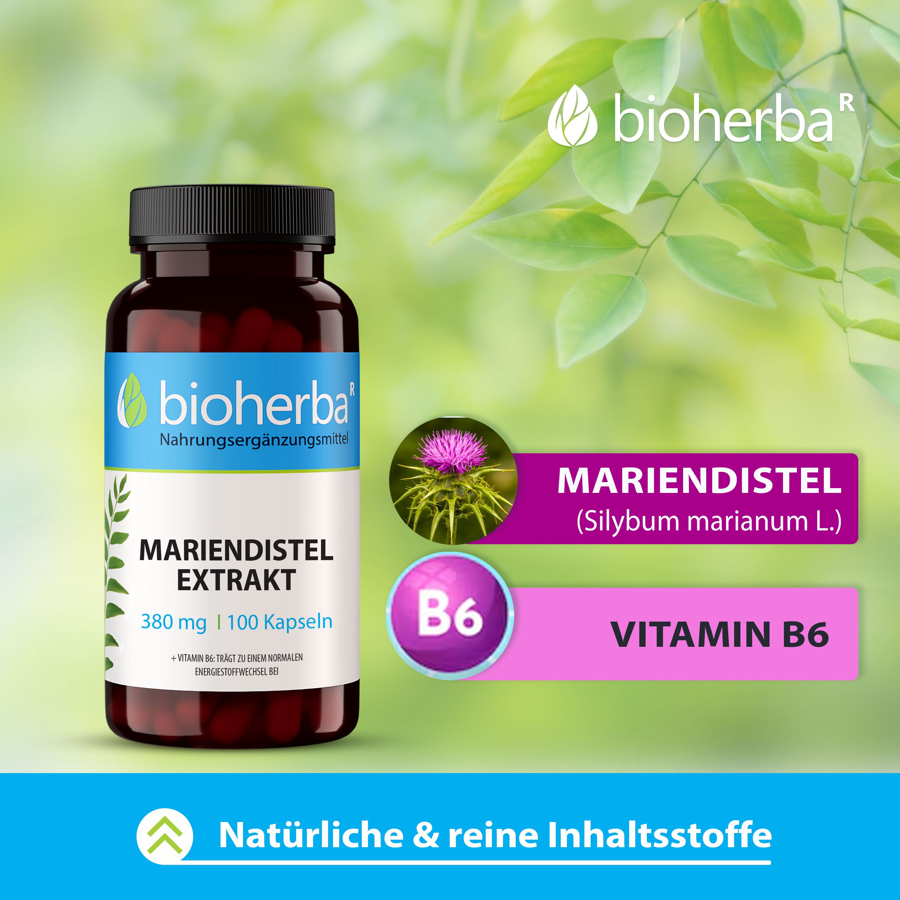 Braune Flasche mit schwarzen Deckel. Aufkleber mit Produktinformationen: Mariendistel Extrakt, 380 mg, 100 Kapseln. Marke: Bioherba. Hintergrund: Blätter und Blume.