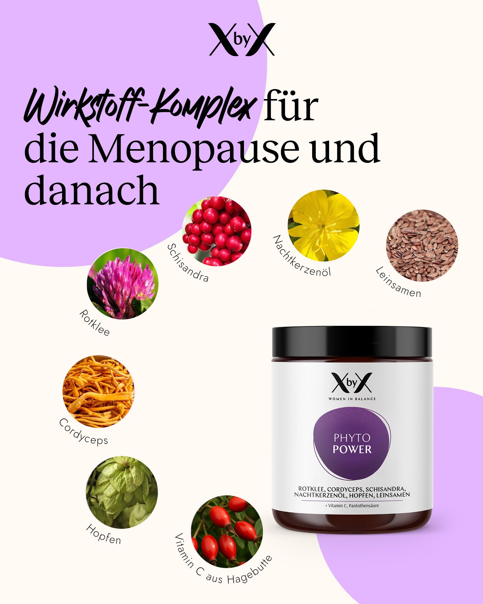 XbyX® Phyto Power – Rotklee Wechseljahre¹ Pulver, Isoflavone, Adaptogene, Vitamine für Frauen ab 50