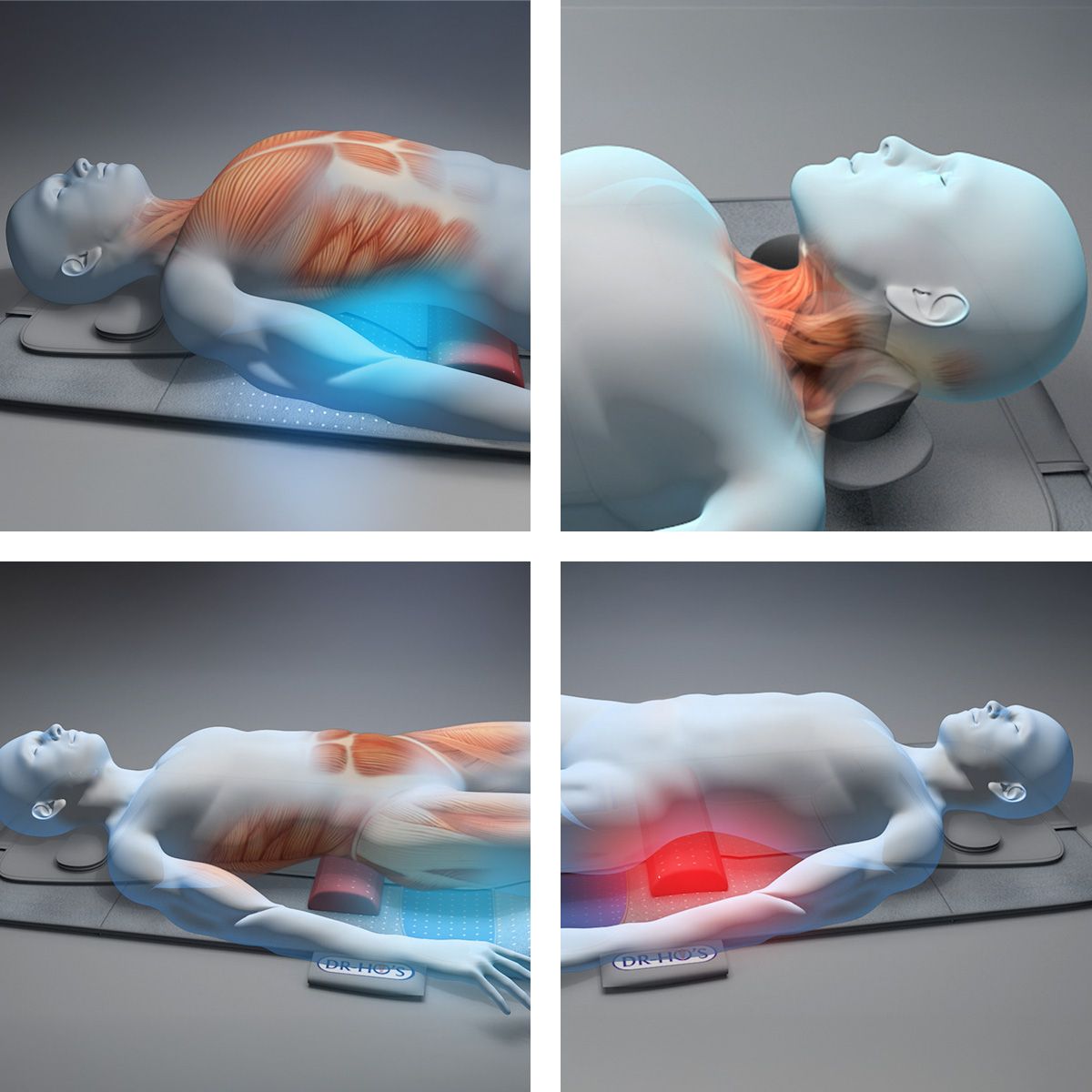 Vier Bilder zeigen menschliche Figuren auf einer grauen Matte. Muskeln und Bereiche mit Wärme-Effekten sind farblich hervorgehoben.